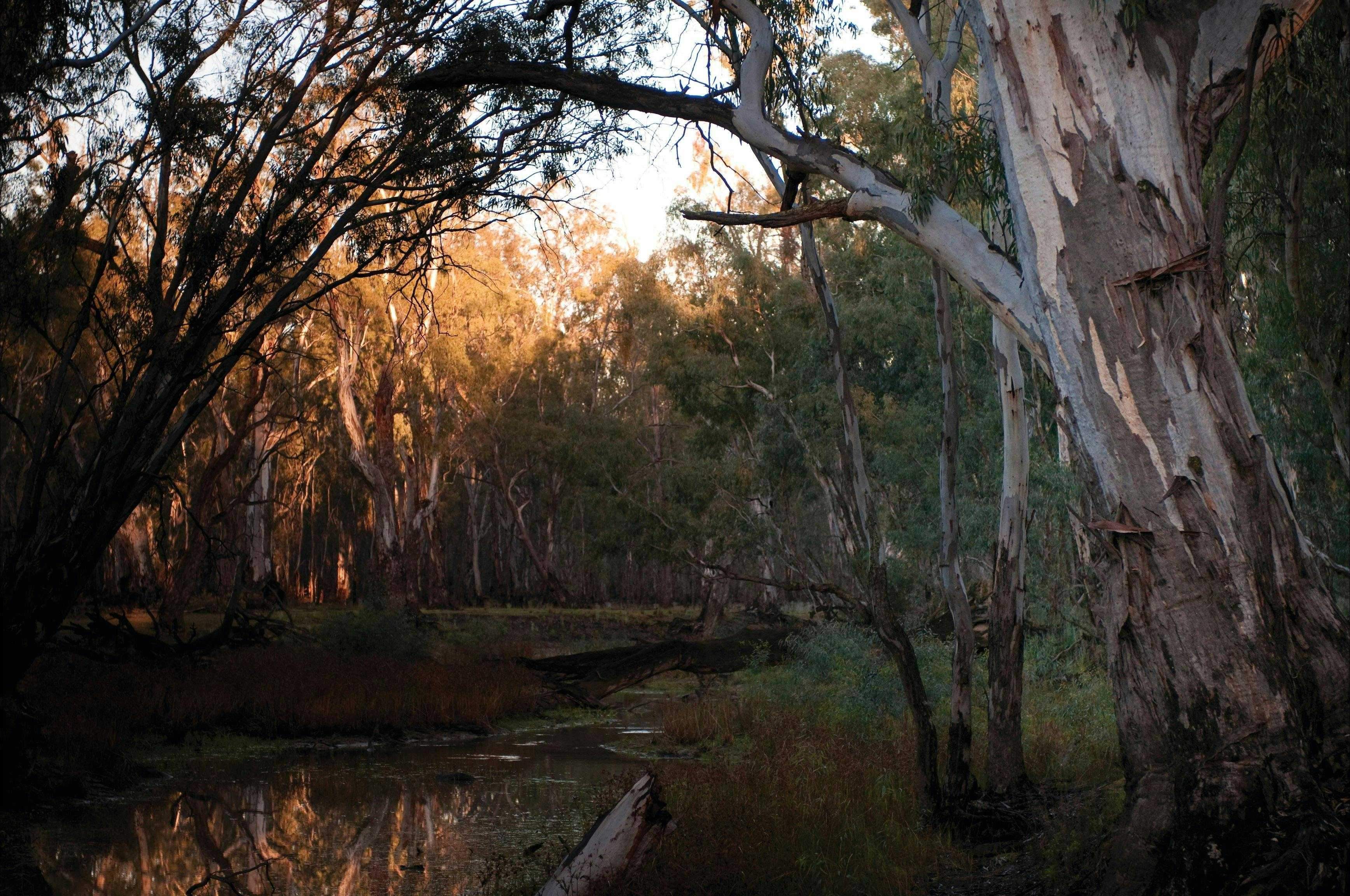 978Ba0F2B6A5Ed771F6B6939A62Bd02E