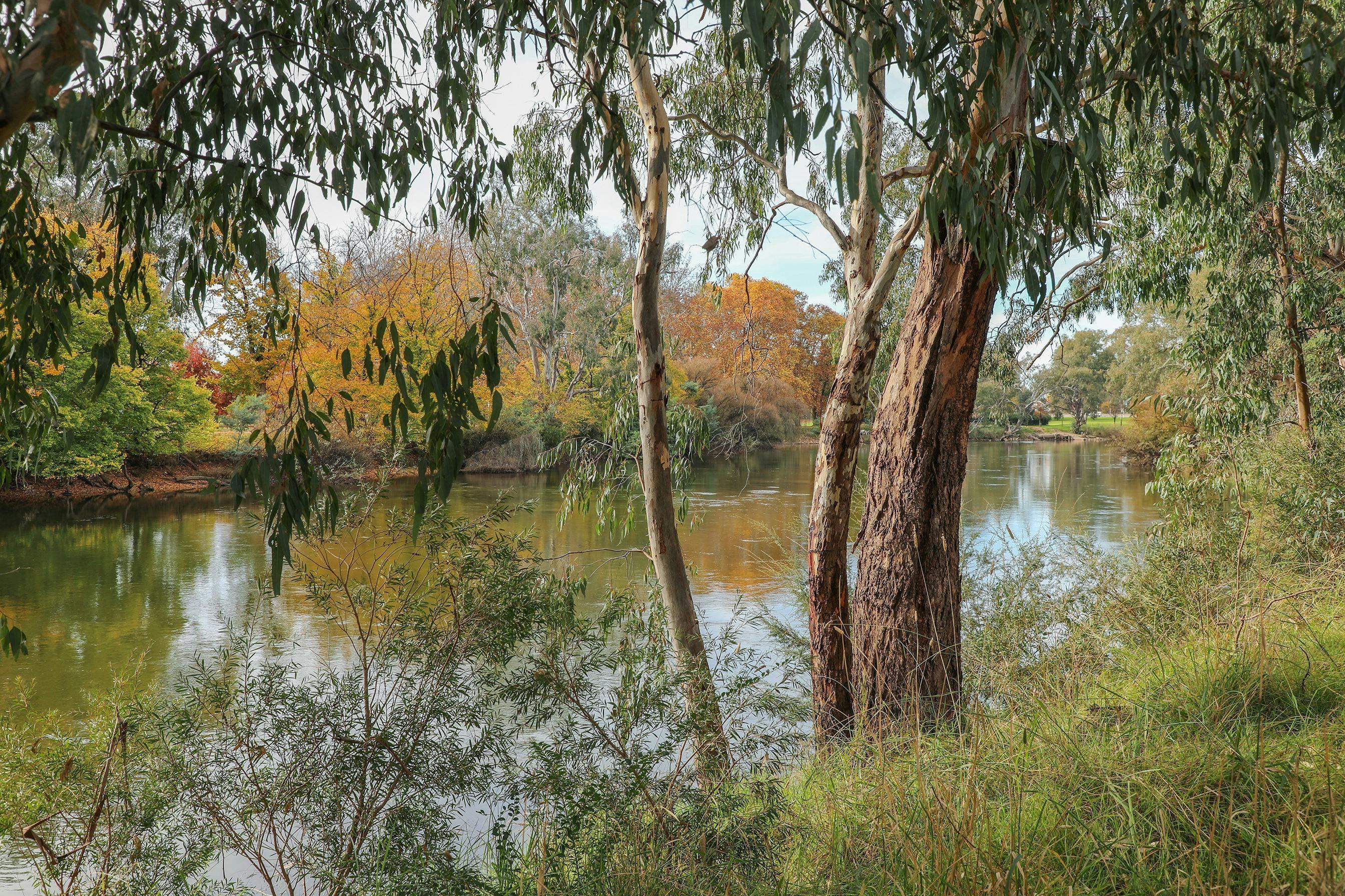 977C1C4B193Cb6Effd38110511B3284A