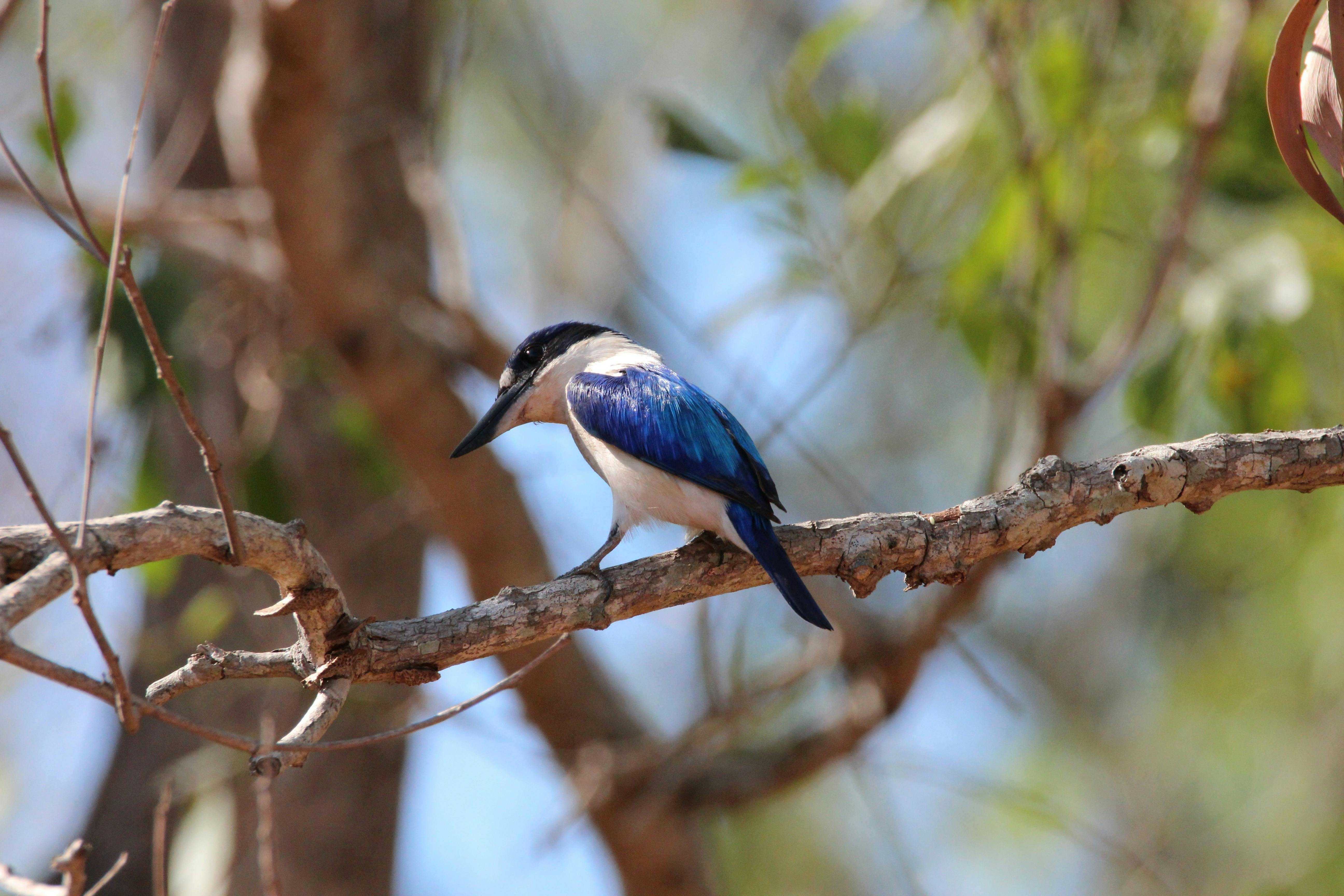 36A0Bf207471A30319C983B6Beb18738