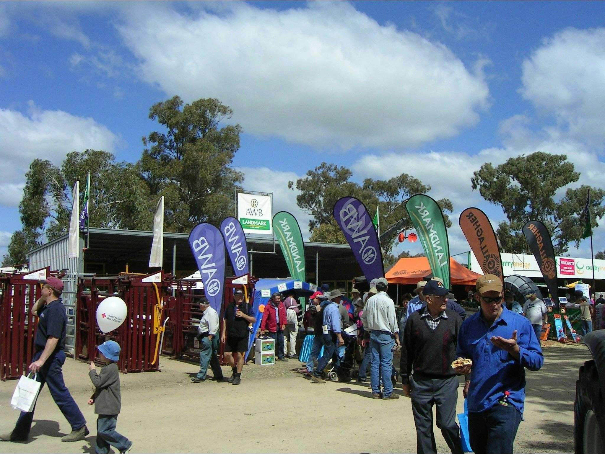 Cdfbee2F51E545C202A0229D8Aed3A50