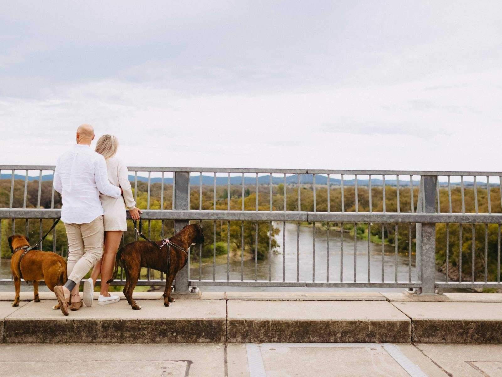 2Bcc9D6Fcbebe5Ec4212Ee1B56306241