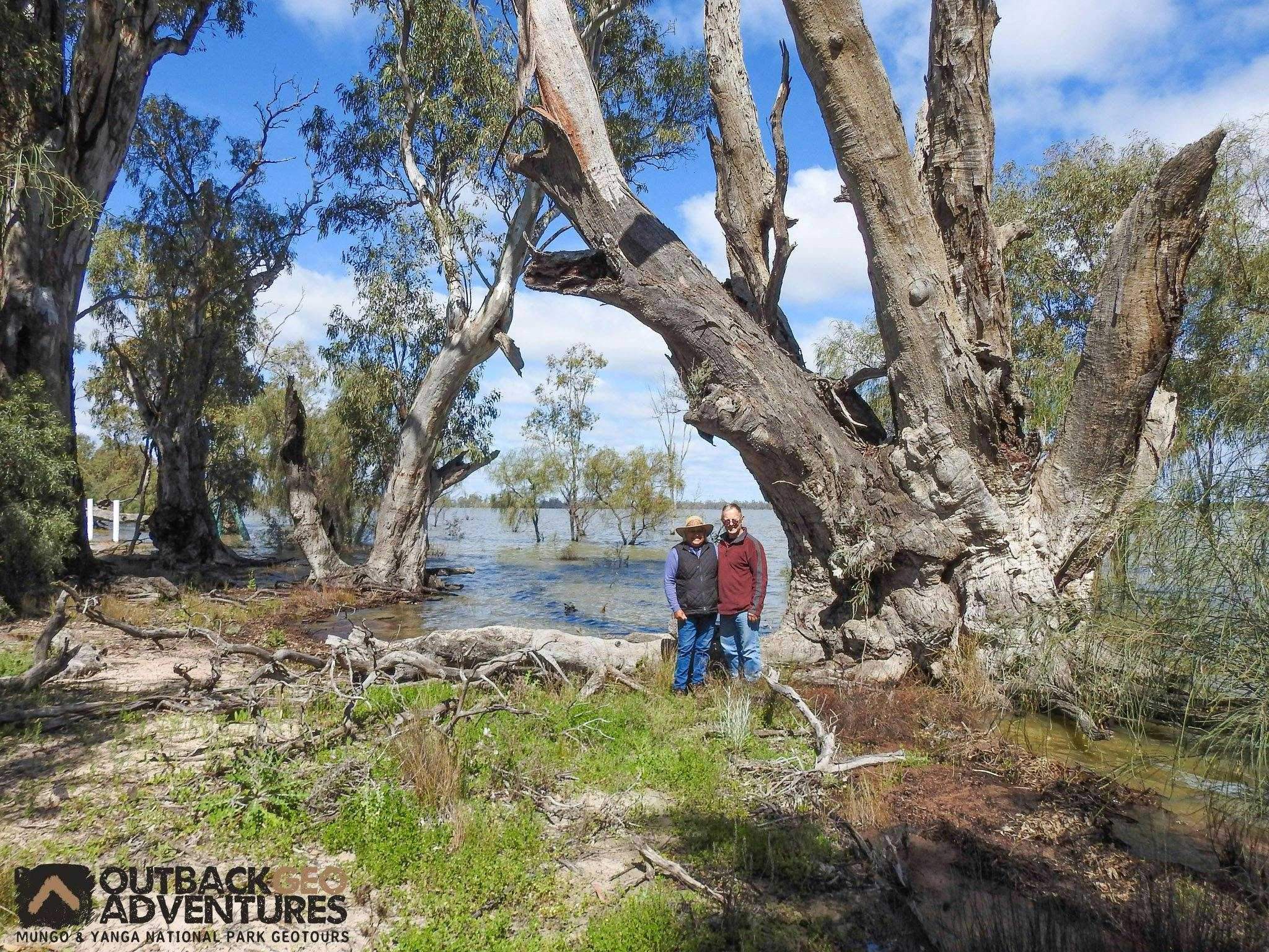 9E127258F548B86B0C18090C1423Dba8