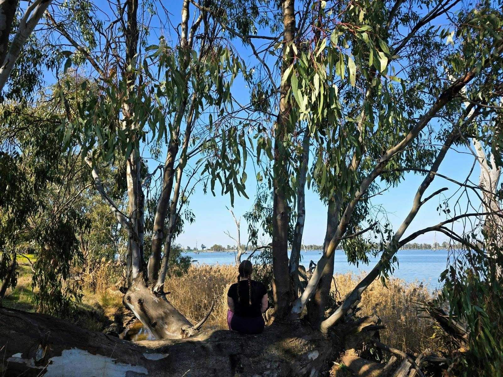 A9629525E4814725C2Decffa2Bdc33D9