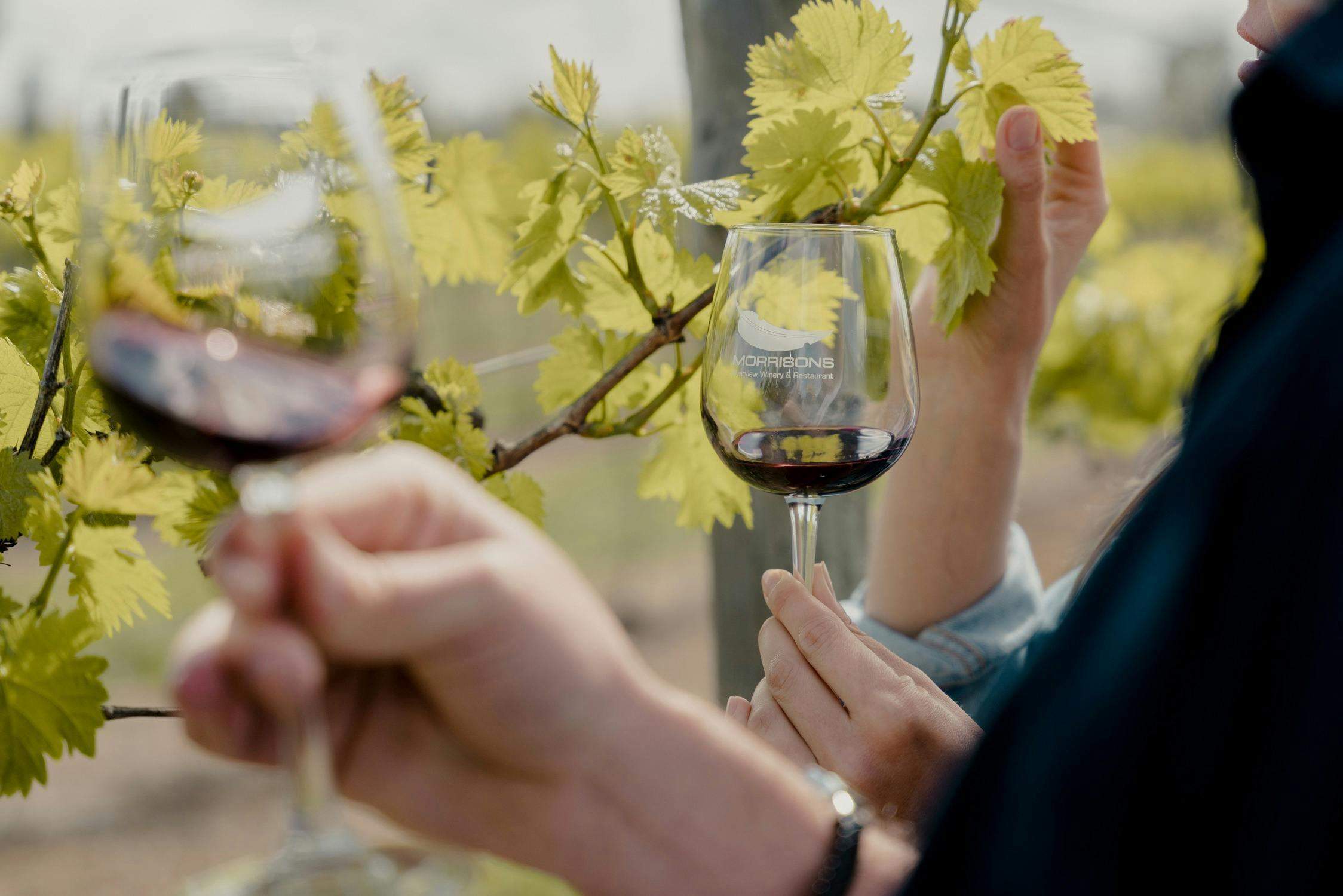 0C6F24D38864C822Fe518E20208076Ff