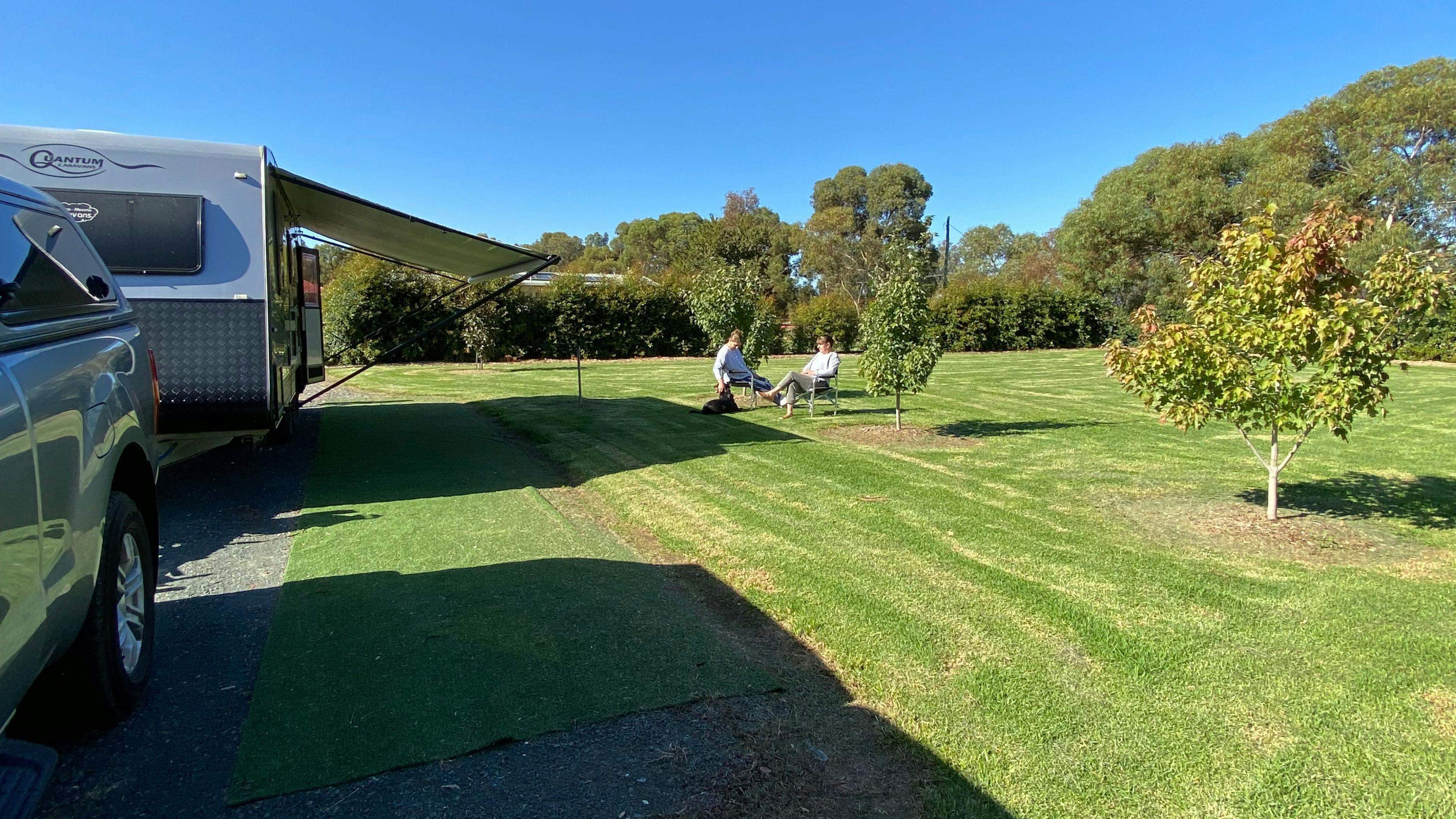 Denitom-Acres-Maple-Riverina_8Es1Nz9