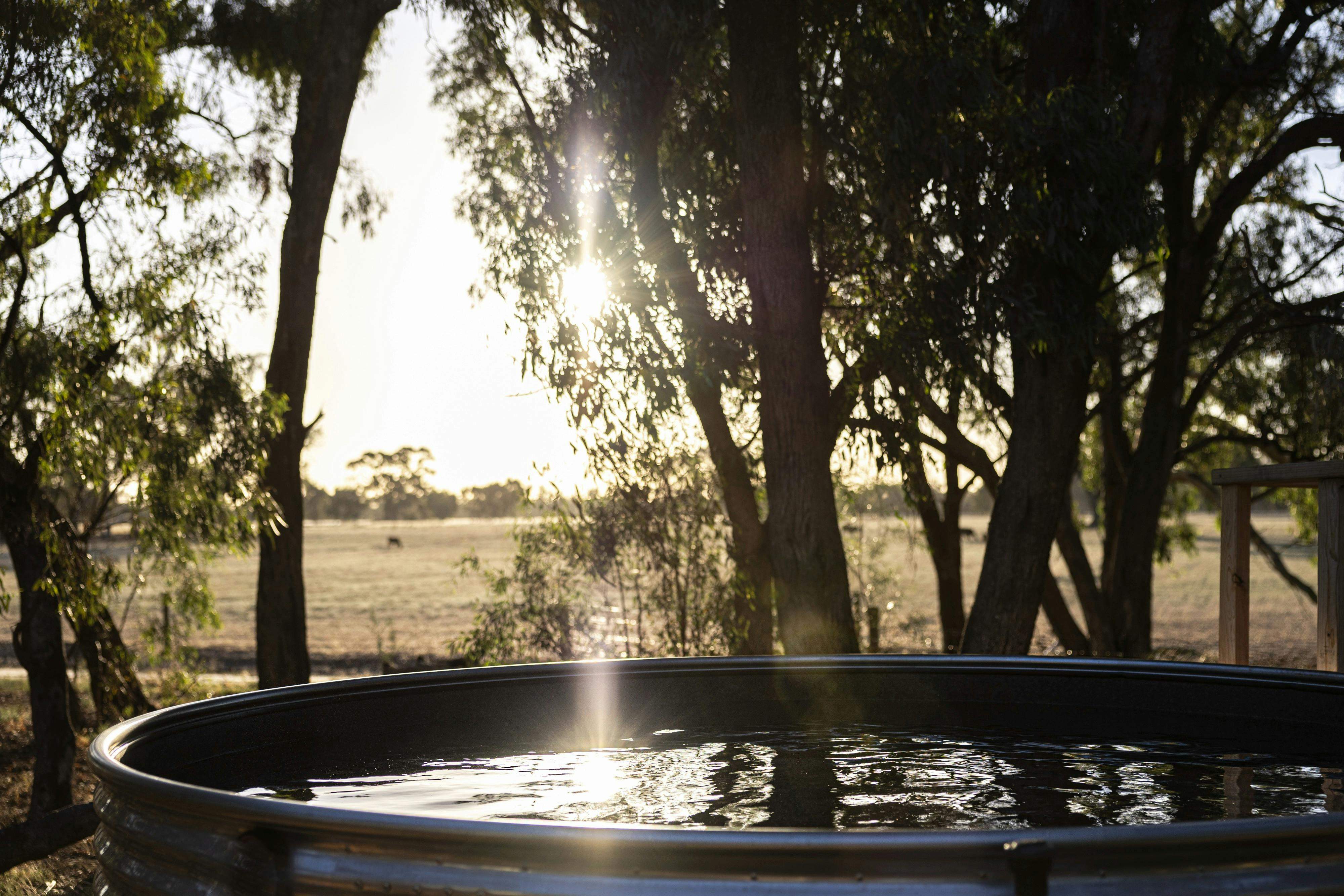 7A8Fcfd9E8Ee714180C3B9Cd81B086C1