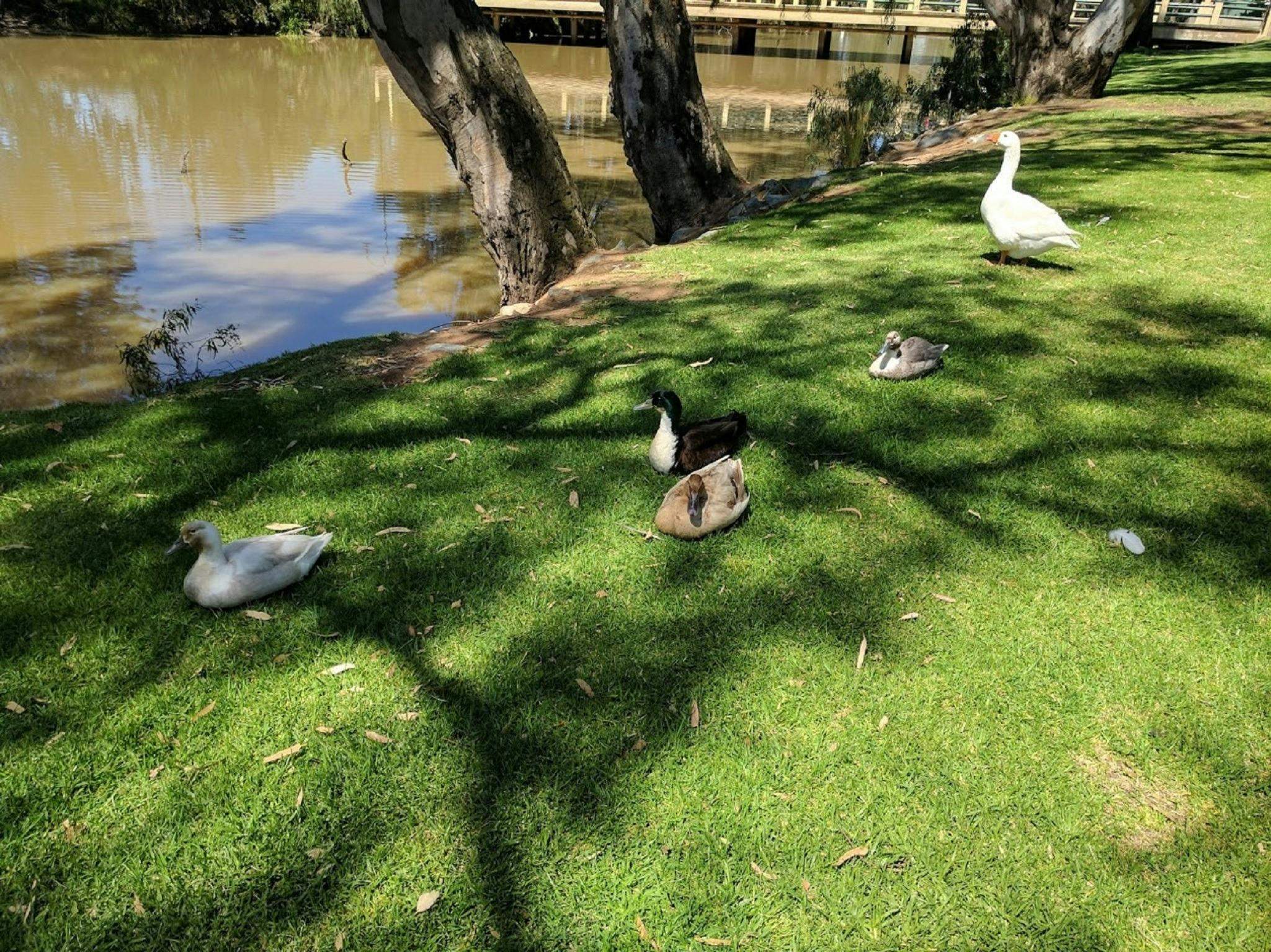 A1F0D34Aa072Ea408749C76750Aa921A