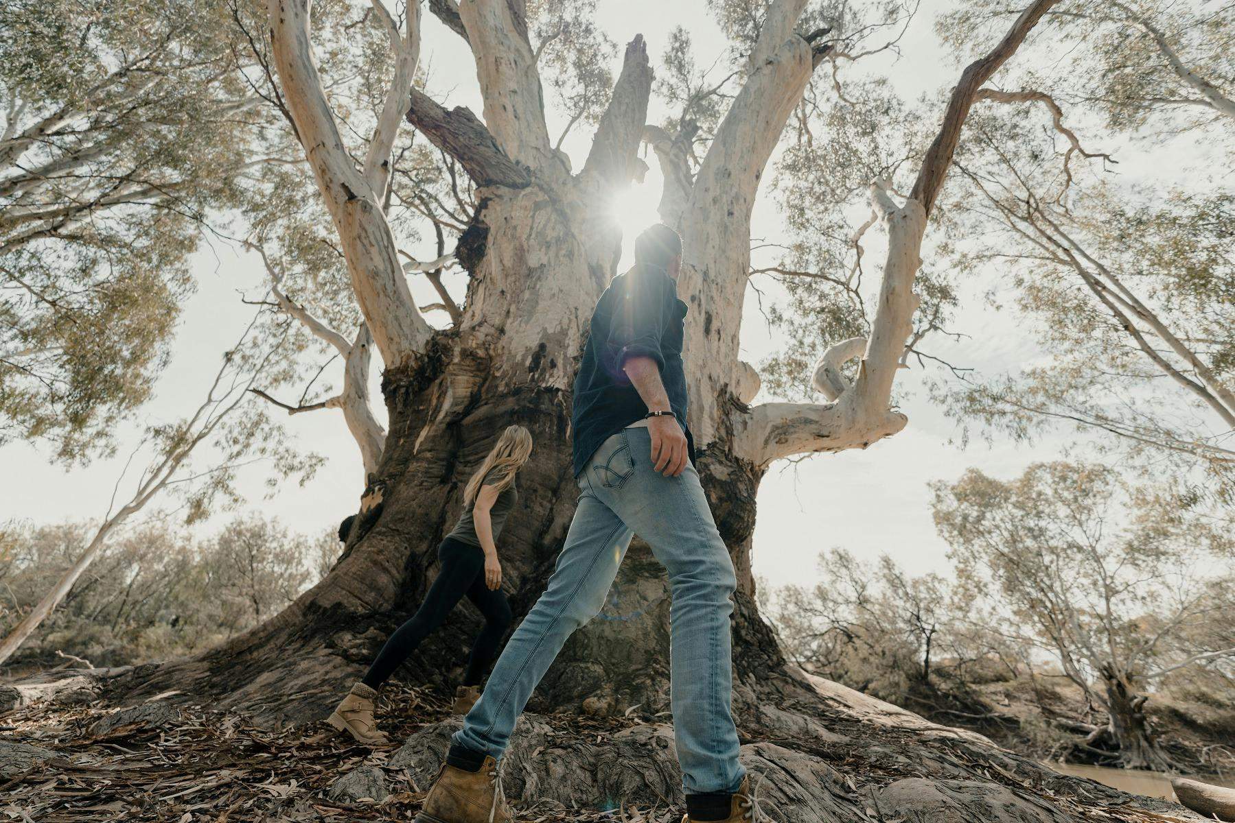 9C604370C40De633Cce2F38E65662Ffd