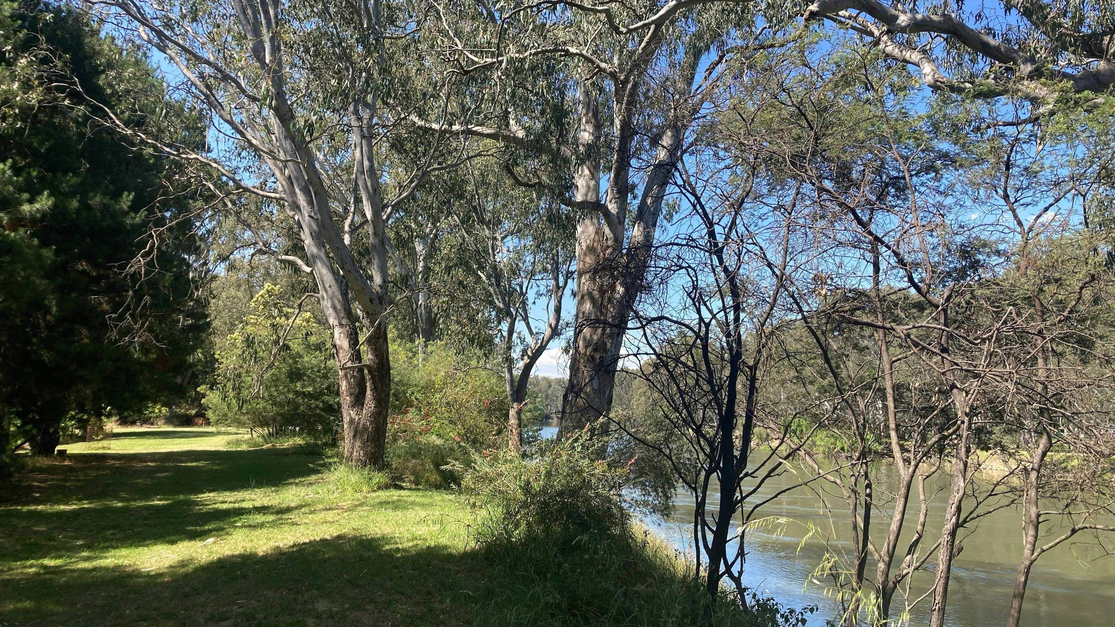 Banks-Of-The-Murray-Corowa-Riverview-Campsites-On-The-Murray_Zgtf2V5