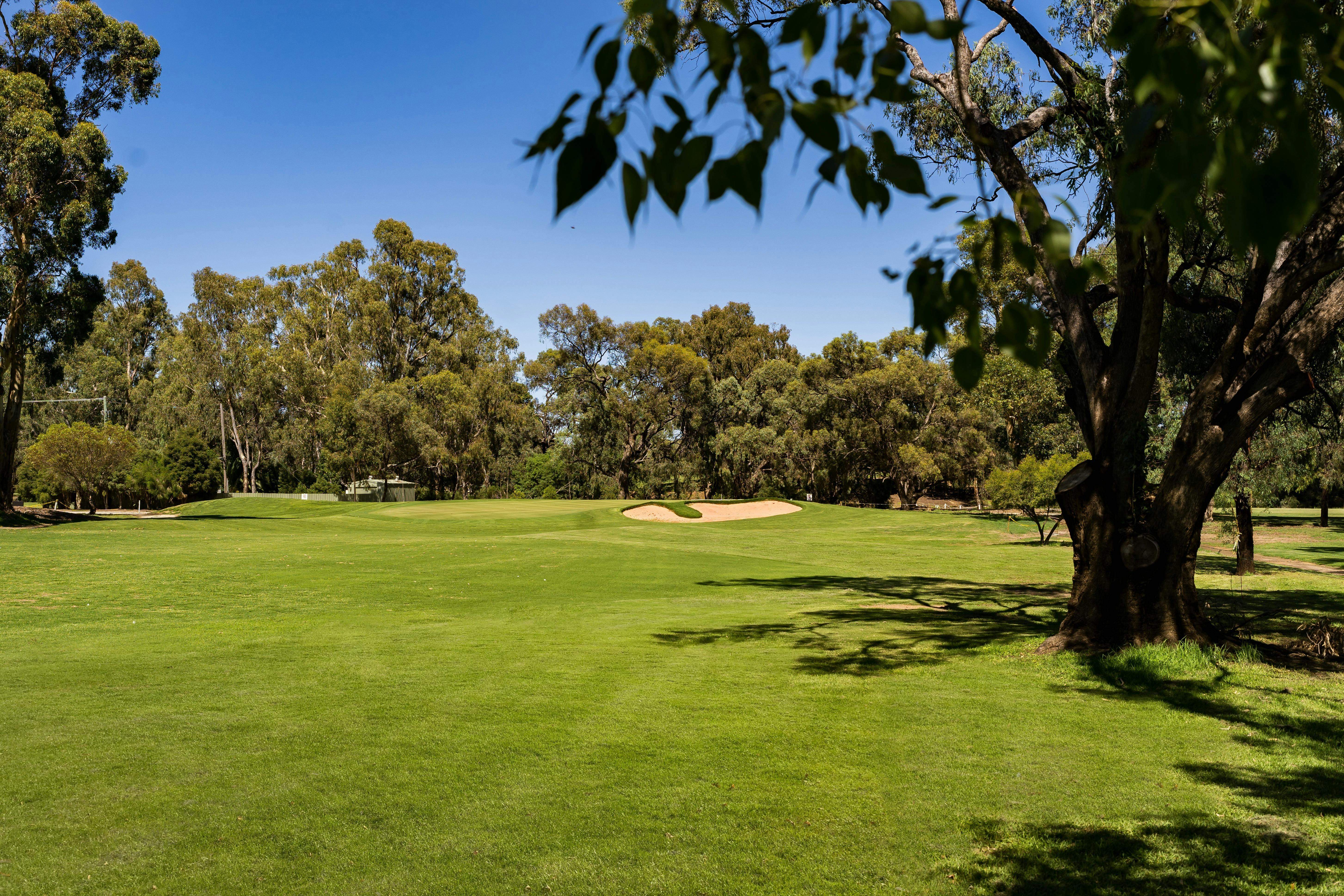 0726912D2Ae58Aa802Ef9C3Bb1899F49