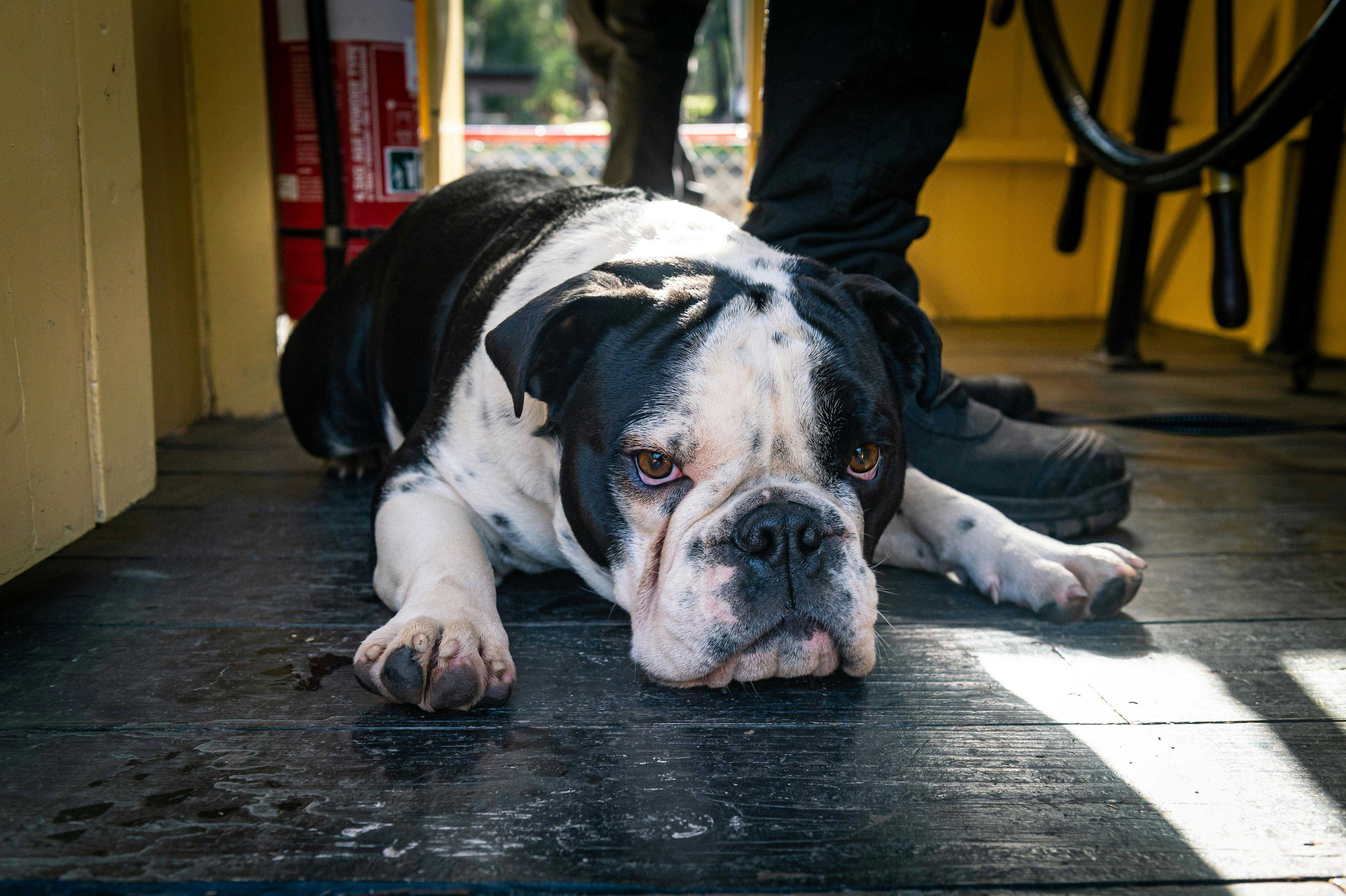 93F1Ebdb60F6Bd9A6B08C1323466D99D