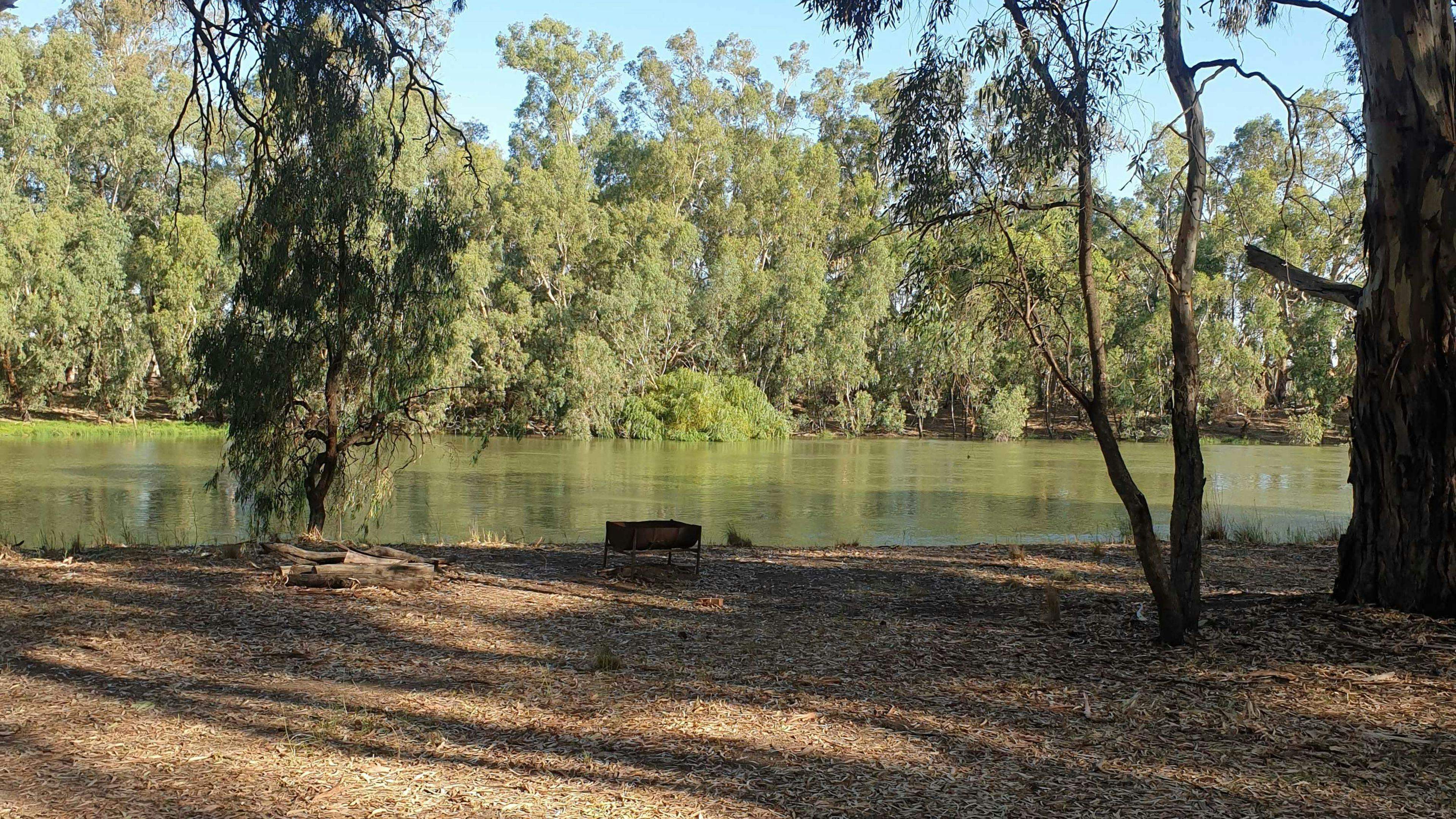 Murray-View-Murray-River-Pig-Bend_Ma3C6Mx