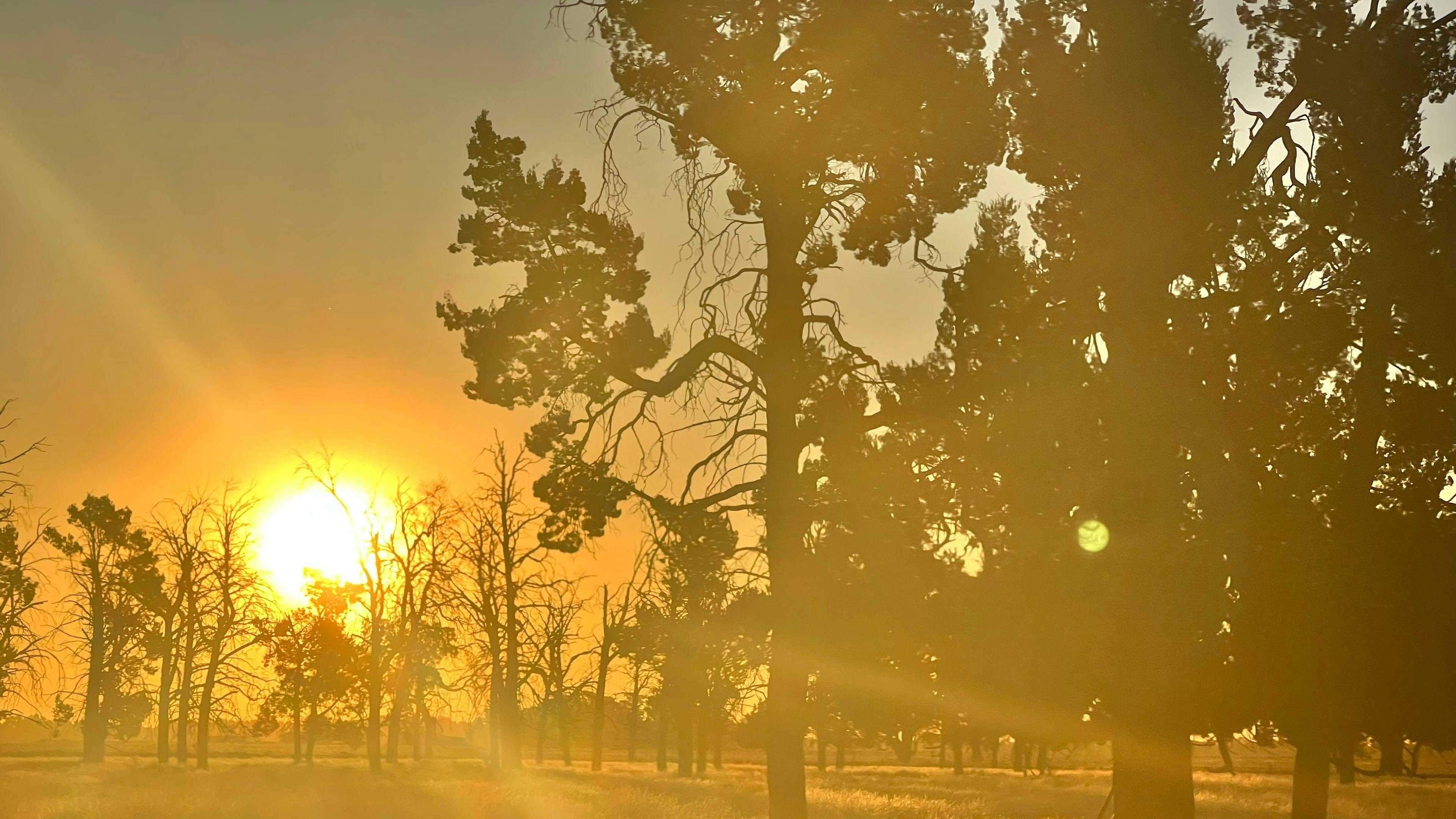 Jandar-Farm-Jandar-Farm-Stays-With-Horses-Riverina_Pnqmcno