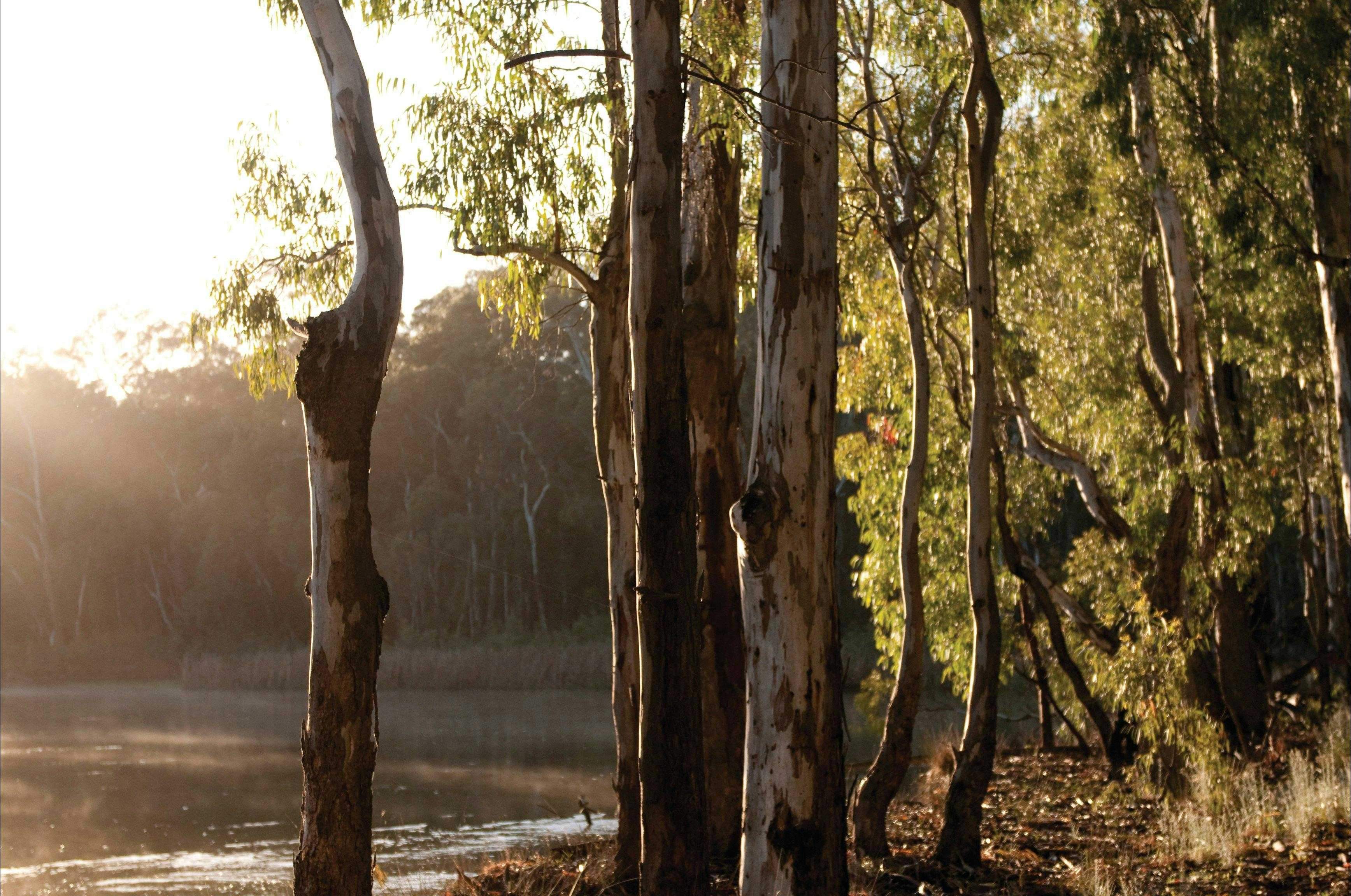 52C33A6F4C4Ec32873899955B381C171