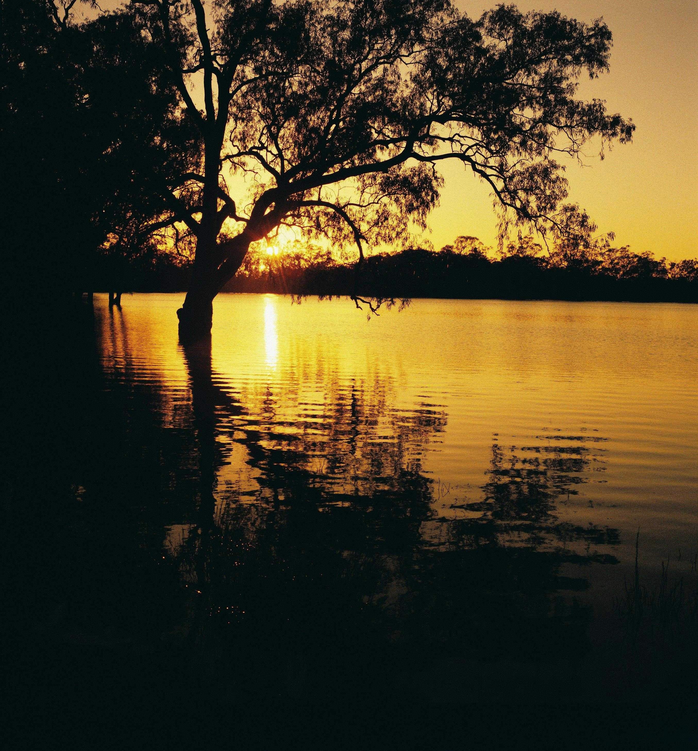 Original__9039932_Tvic_Visionsofvictoria920974305_Qzw5Bx3