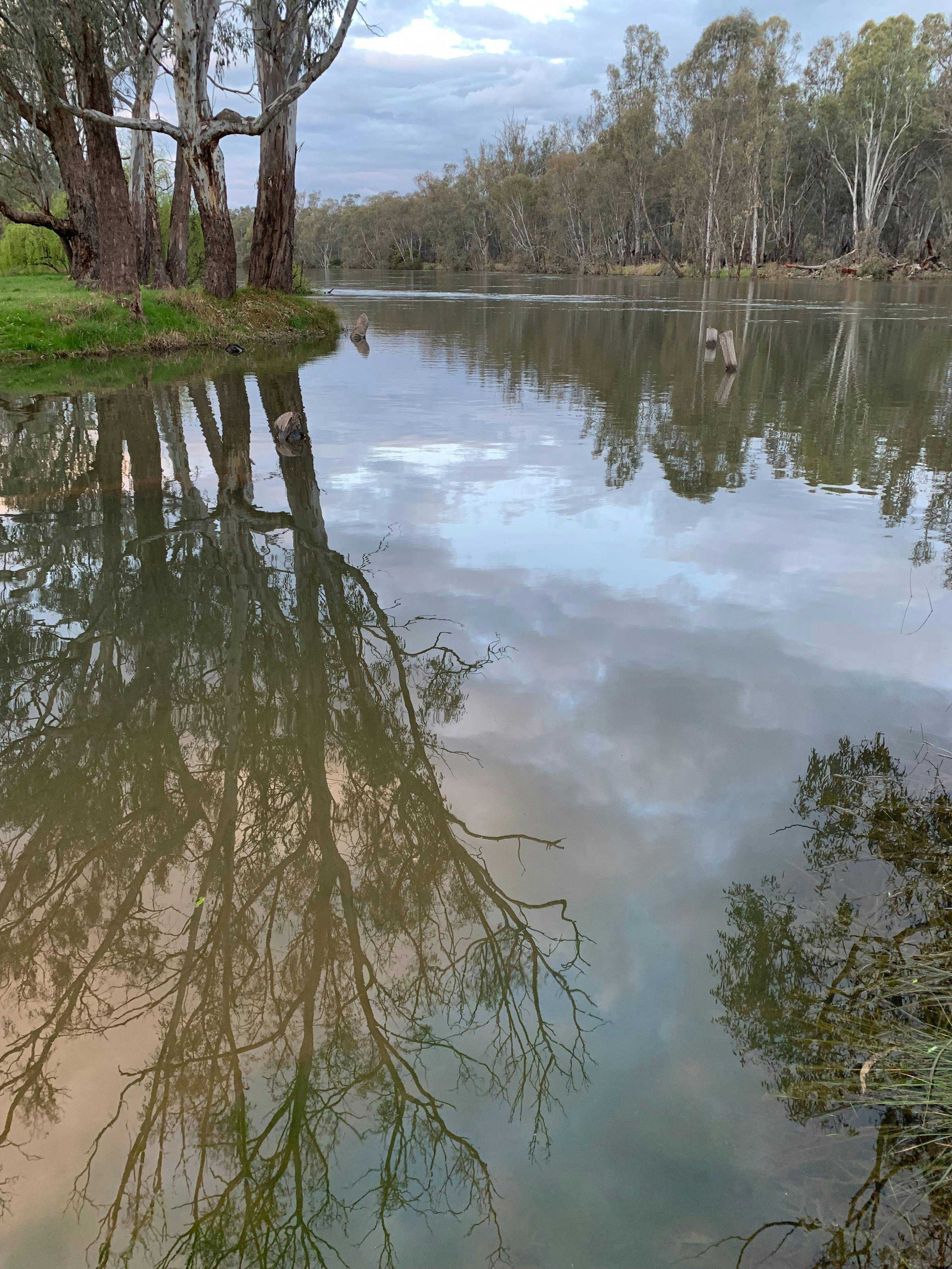 C60B0Fc38Cc02Aa50C99489A39Dcd42E