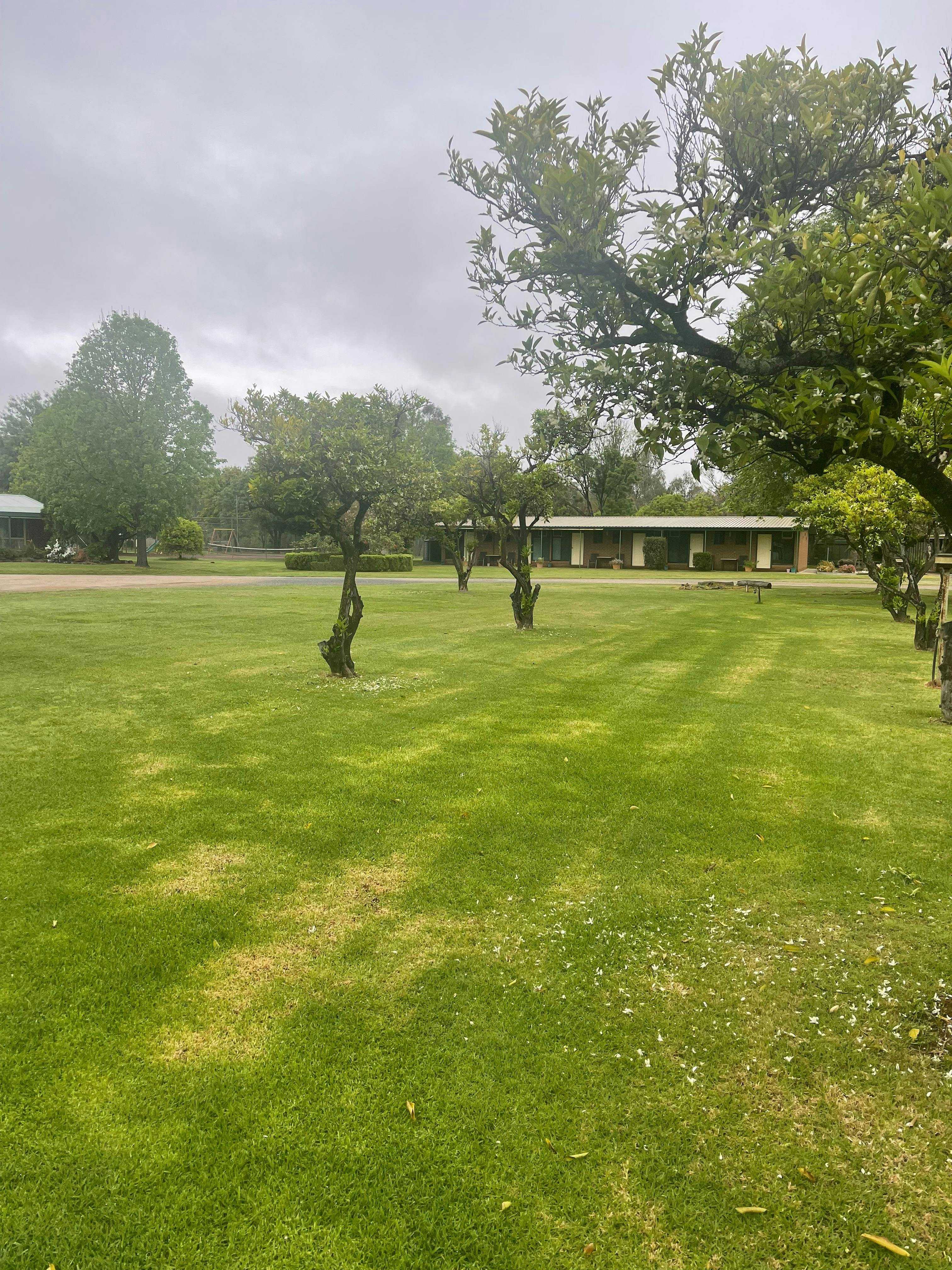 A40F2Dd8D643E6A8763B11F00C72680B