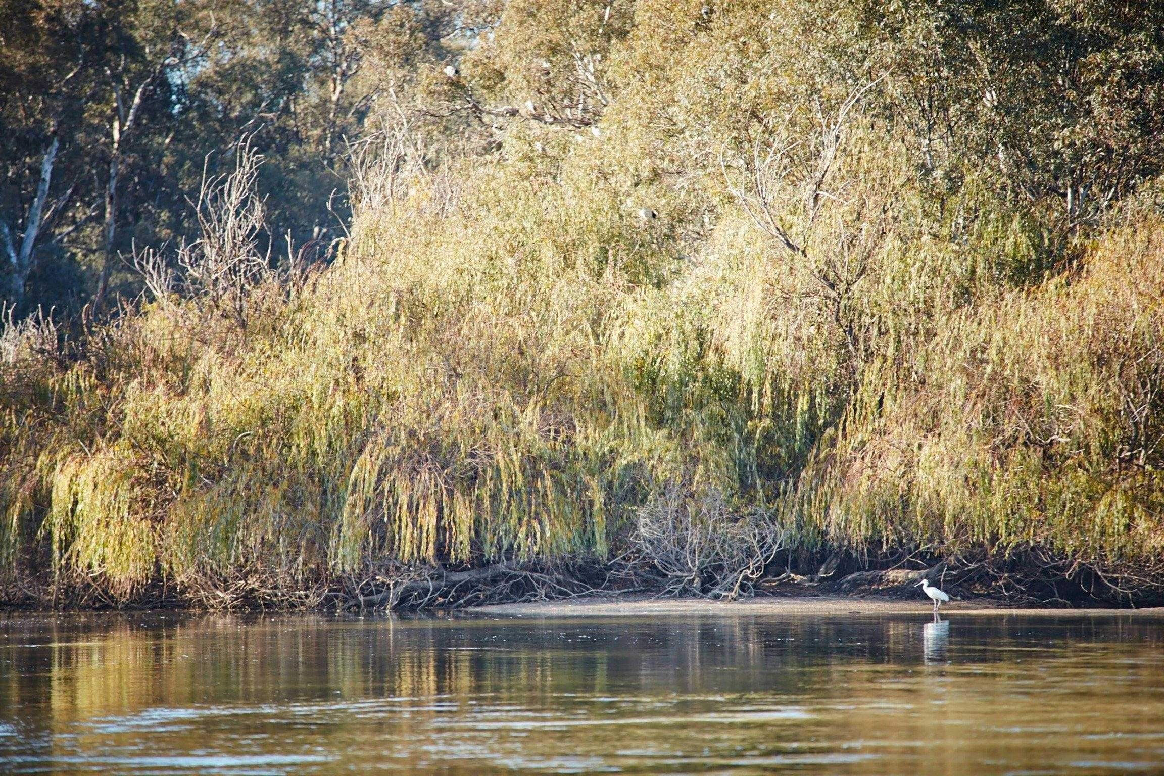 3D5B284C8F65Ad592343B8B7Ffe299D6