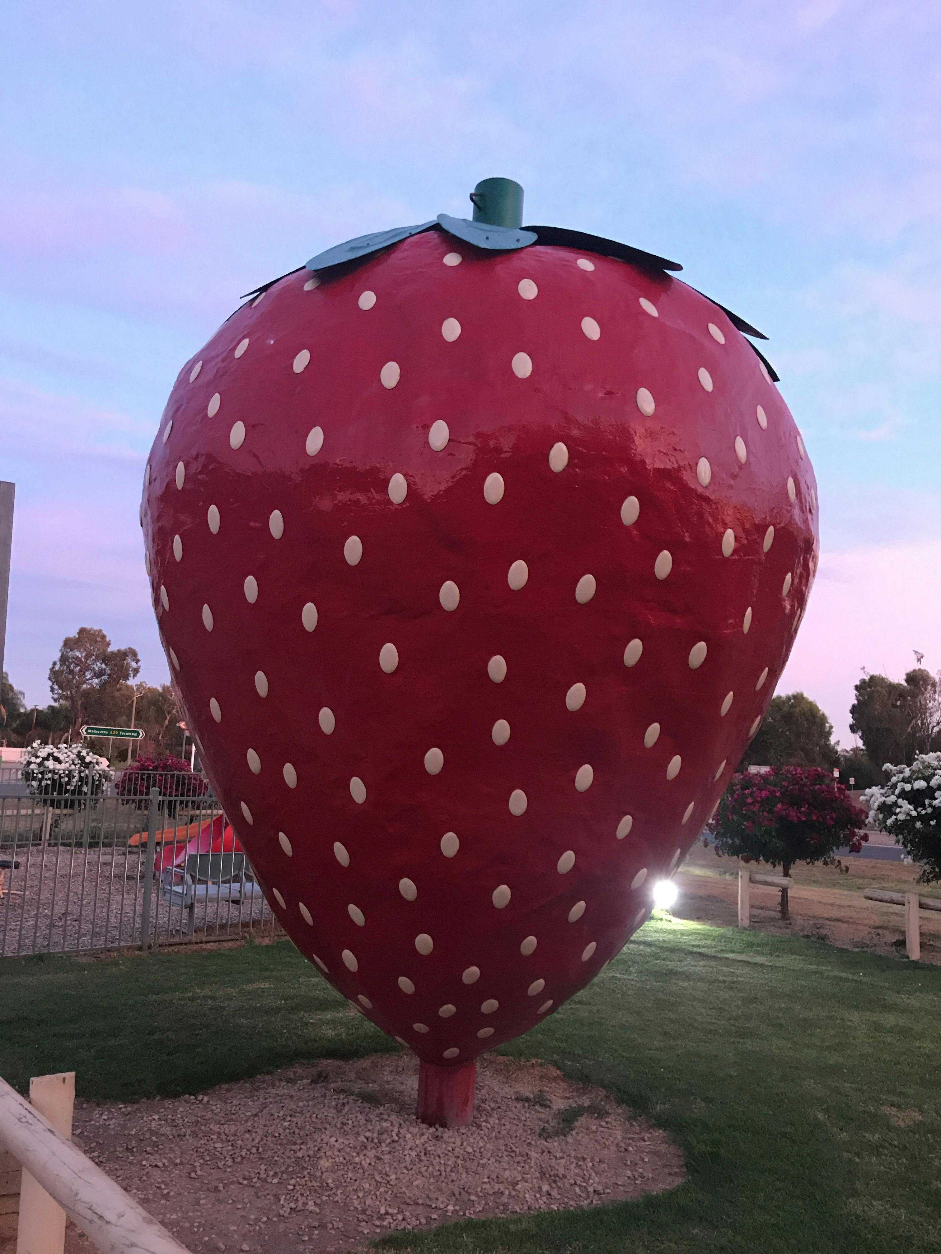 Aa474D1D8C549F636A3C74A47D4Fc1D8