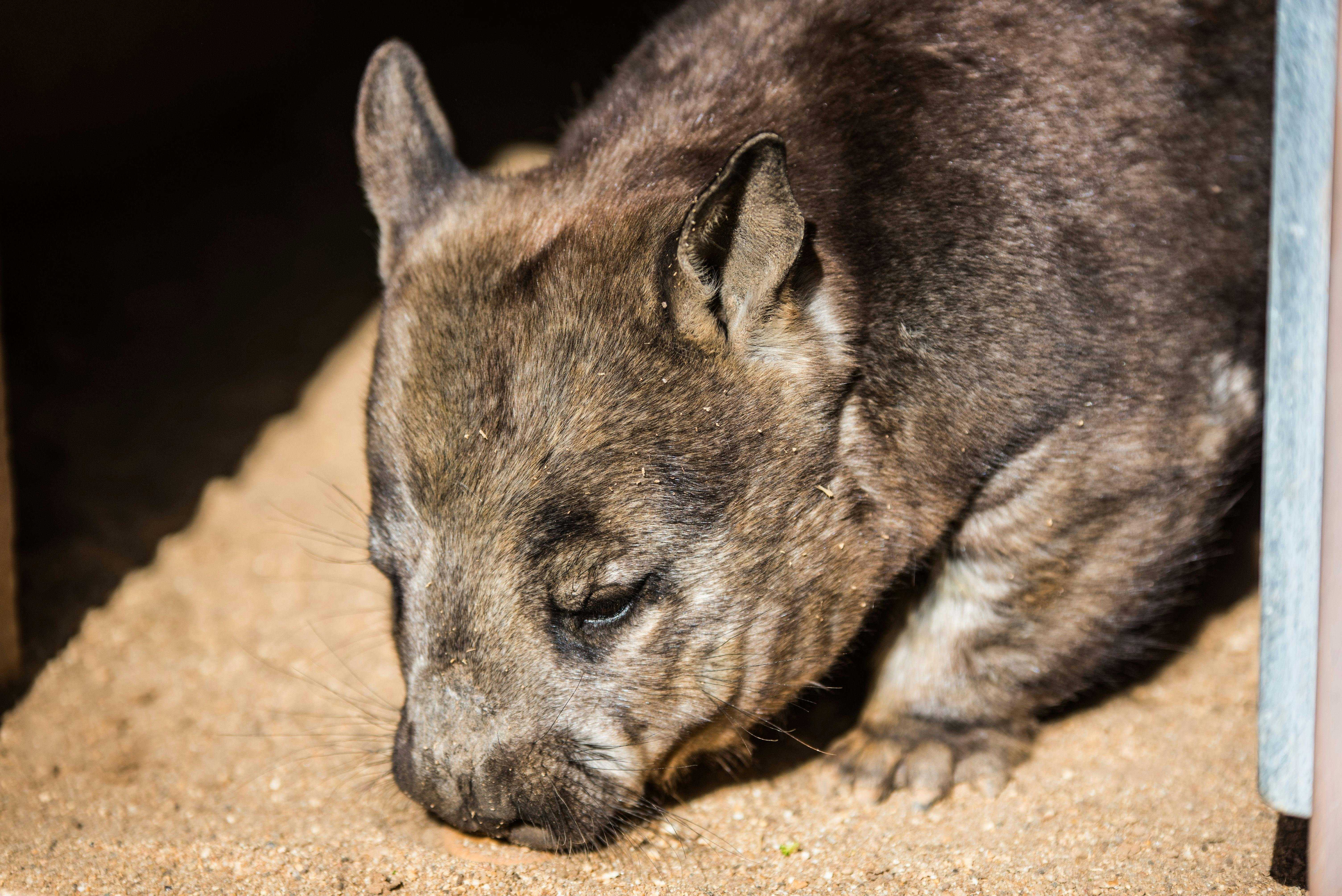 Df18Efab6D505D367293A8A8246B5029