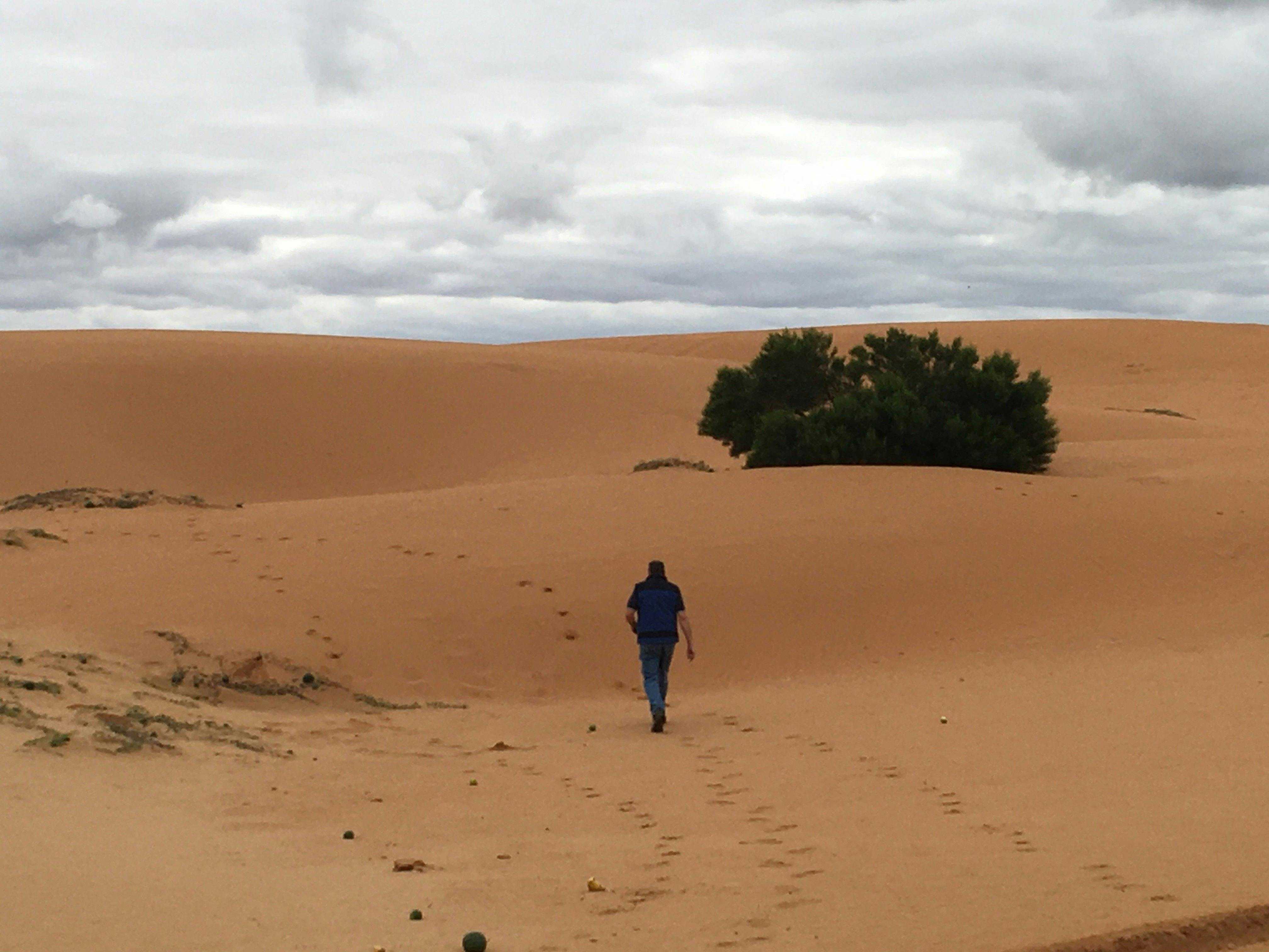 7Cfd1Ad8C6288D6Abe41E140050A1877