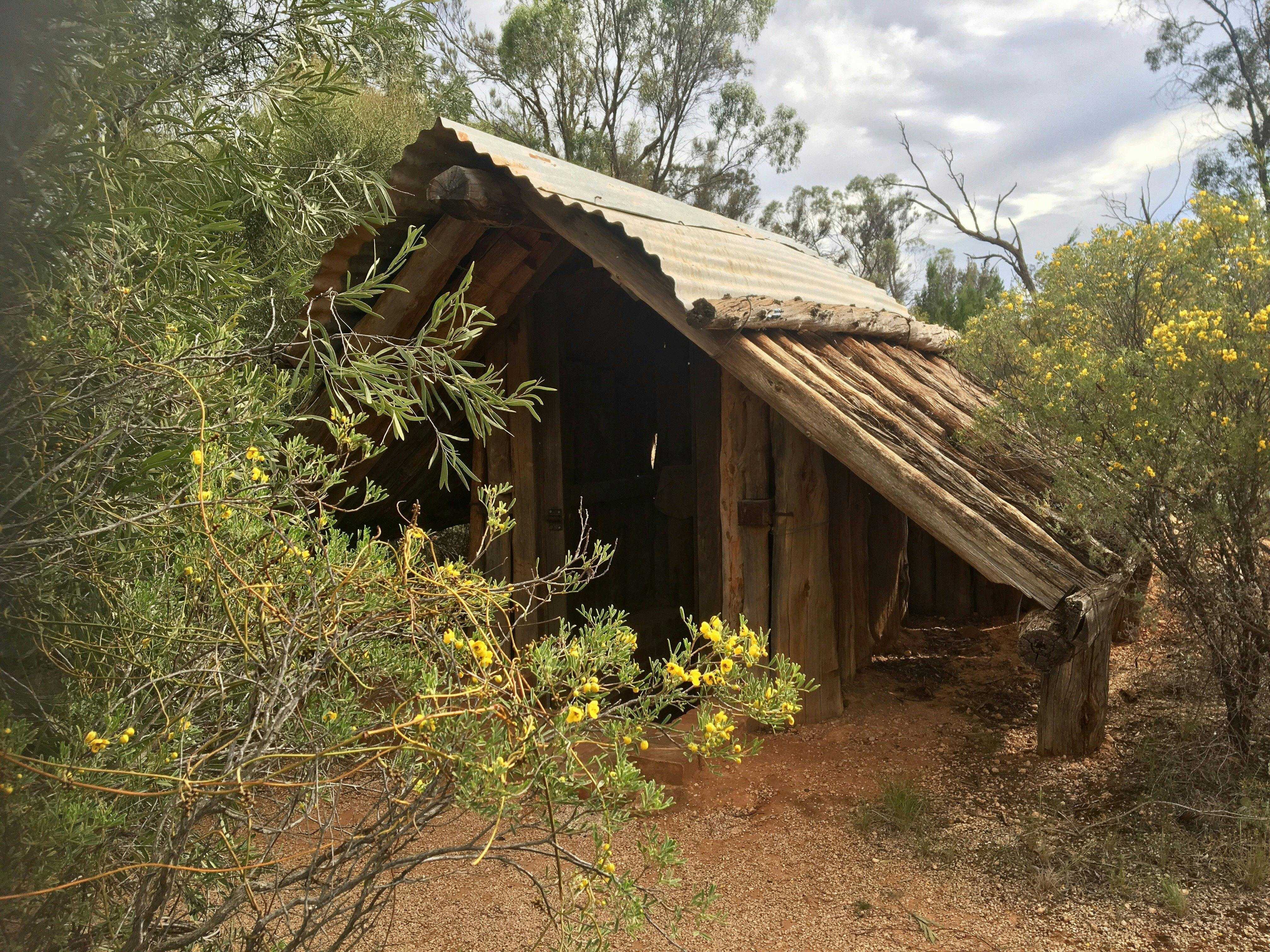 F827Ede911Ba5E8Bae04D351342Eb263