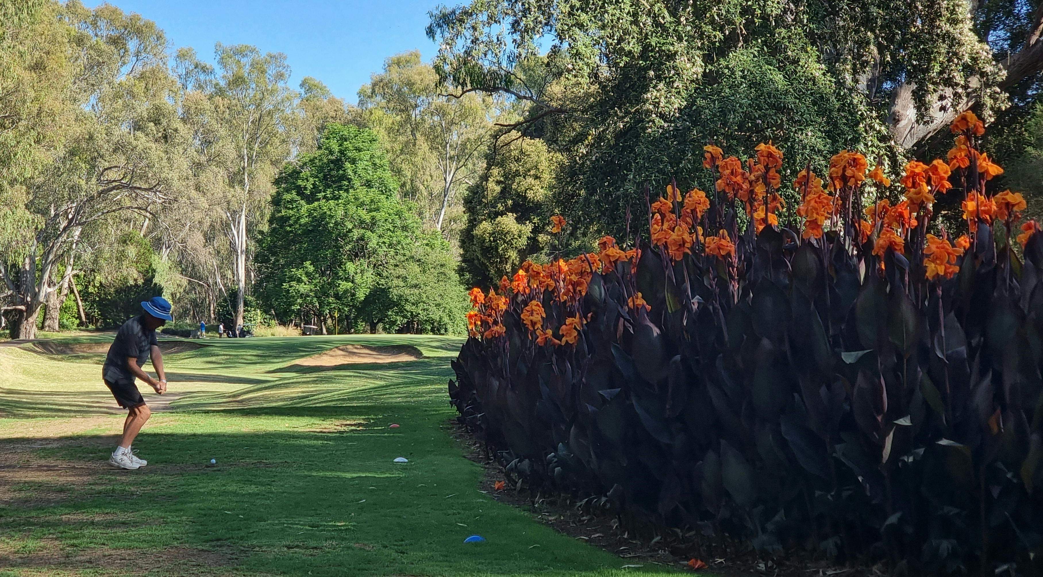 8C295E9709E5506950D78182392Aa002