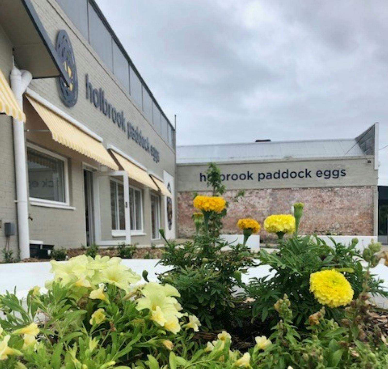 Cf3979D441800B07F19310B8F0Bdf0E3