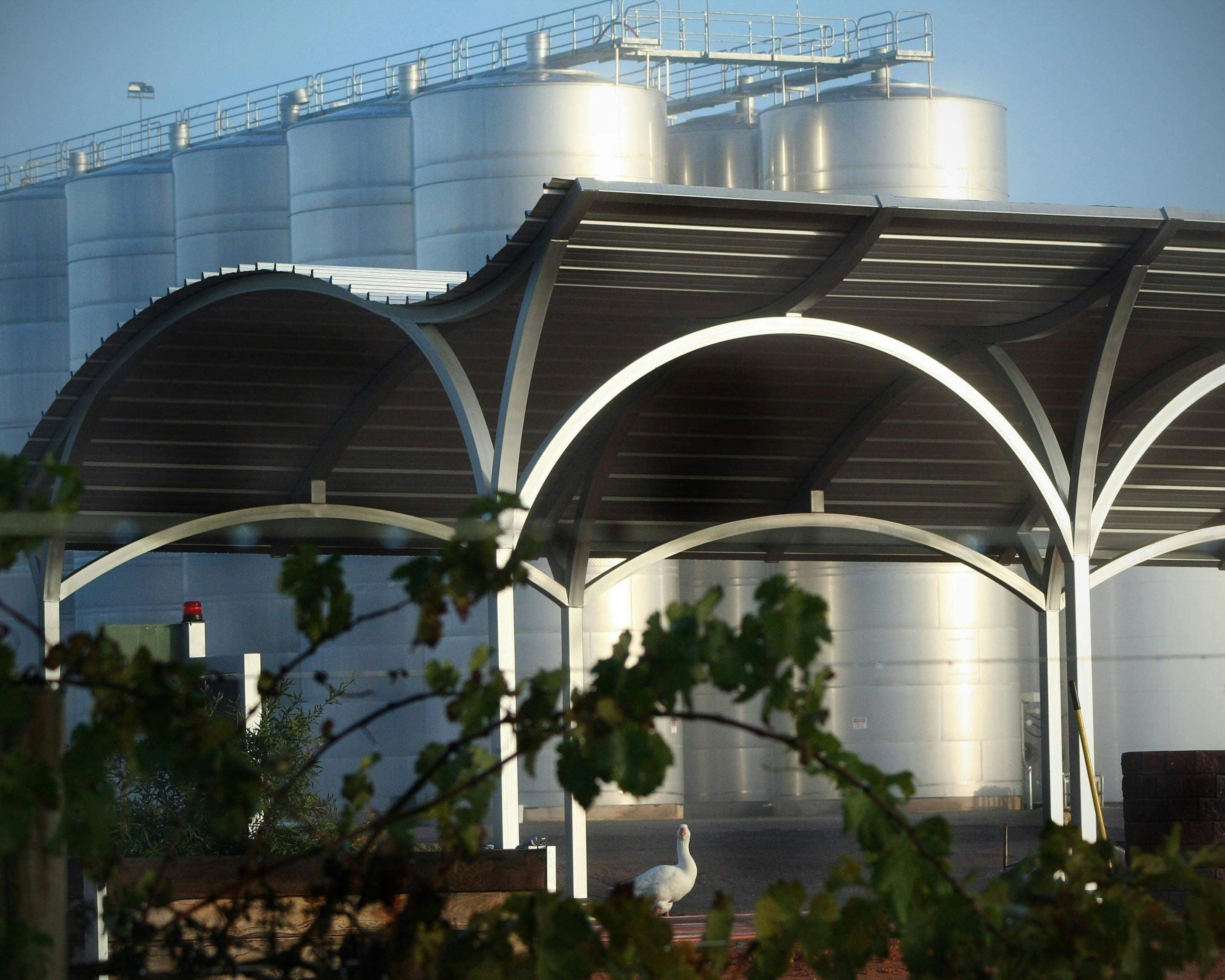 148Adb229493C56E0Ea9F8B471263Aba