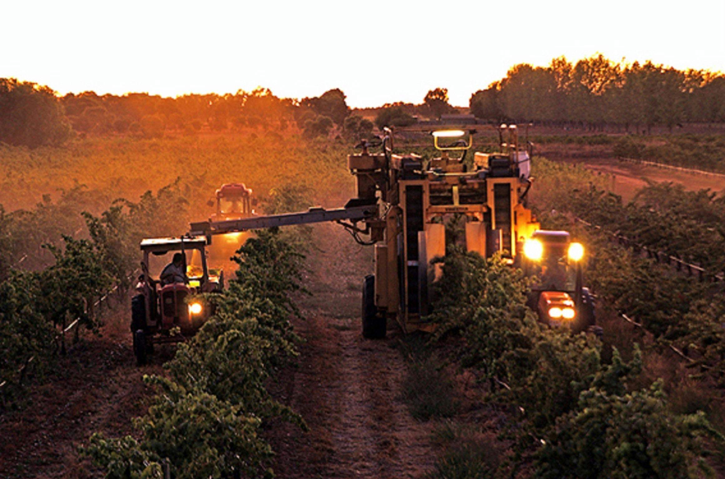 7B298A69B9F200C16Ec67Df4Ff3963D8