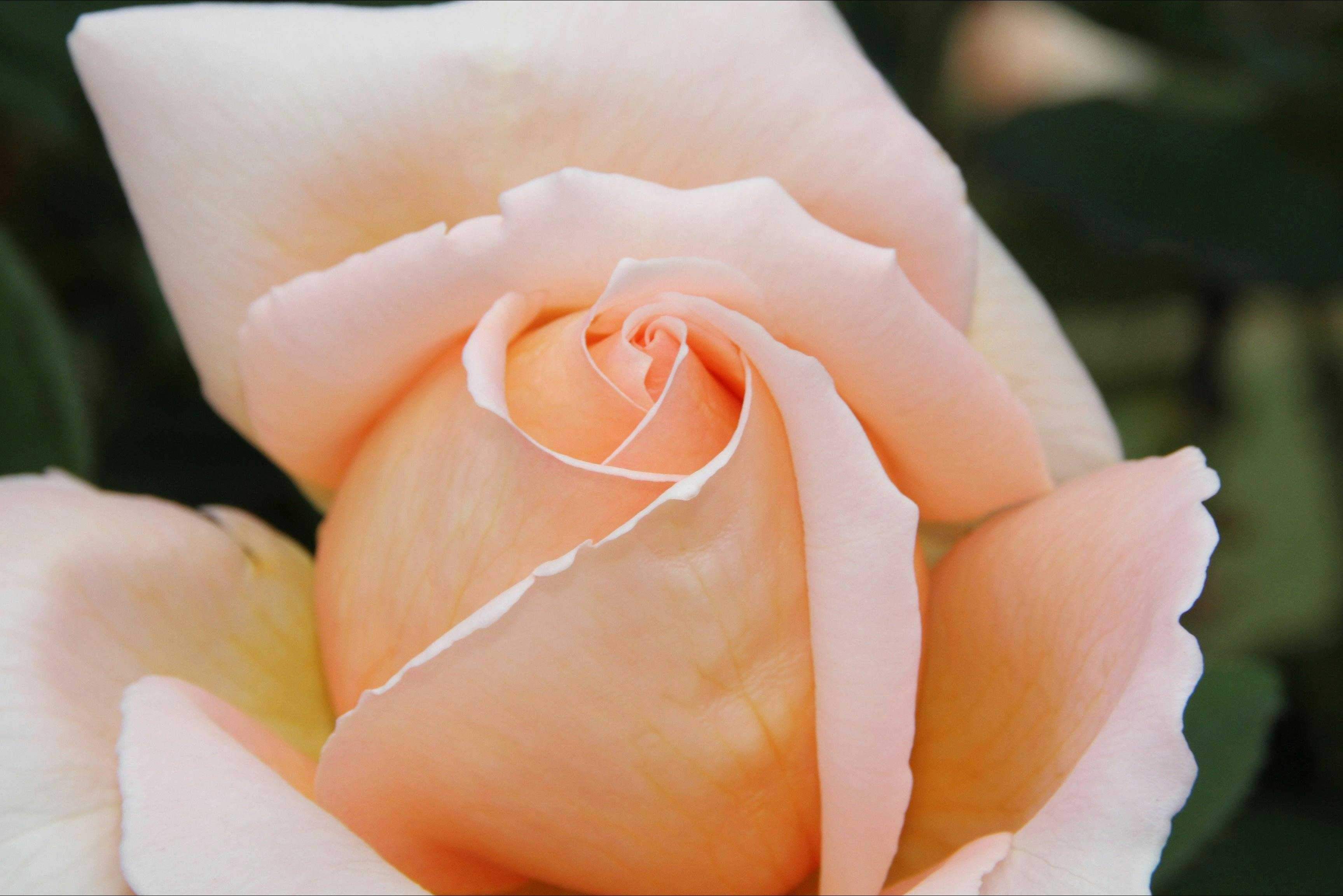 F3F96Ee536E4619Edb4728Bbe9Ea3414