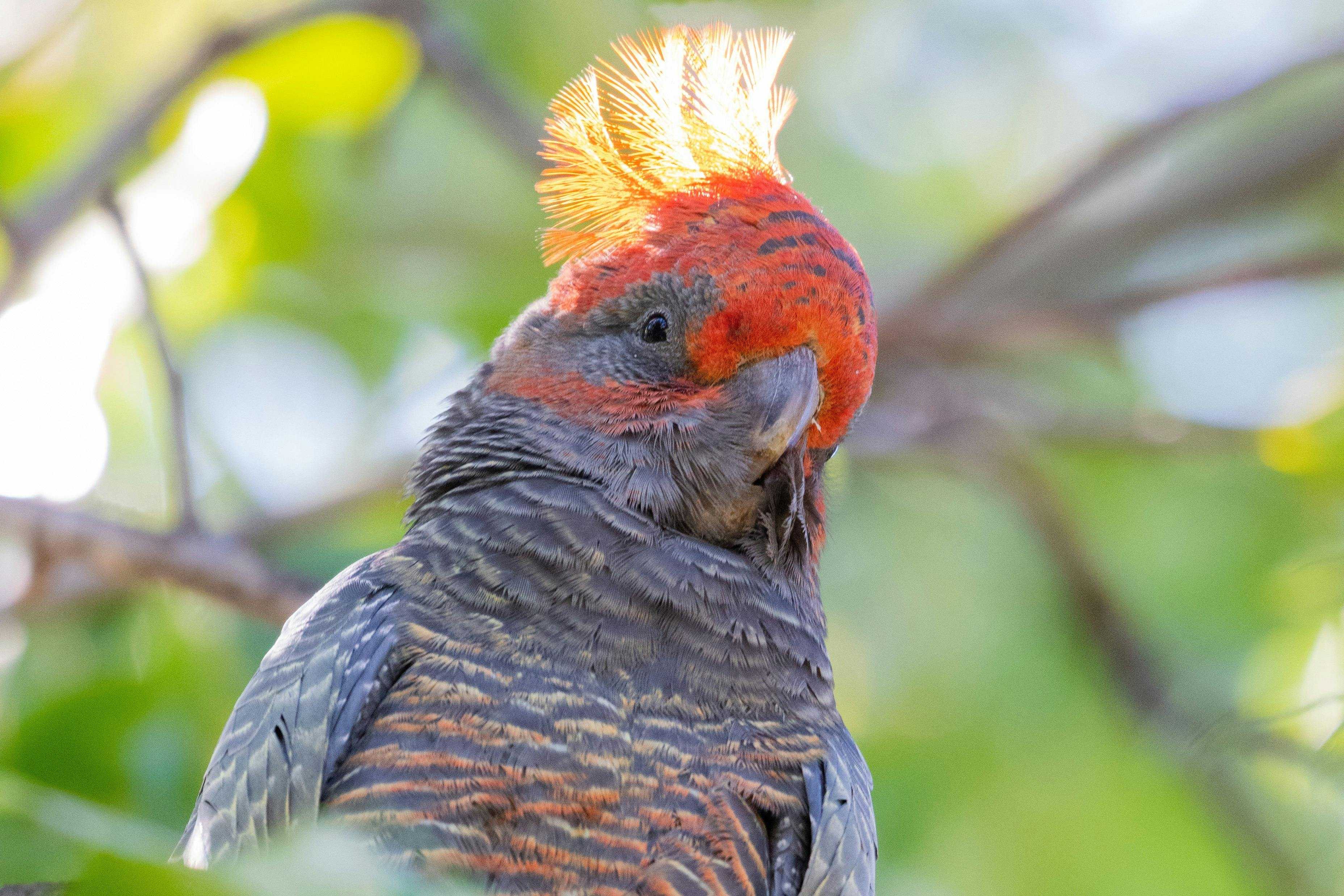 675Aa742A8Ab68F46E9F2B050E843478