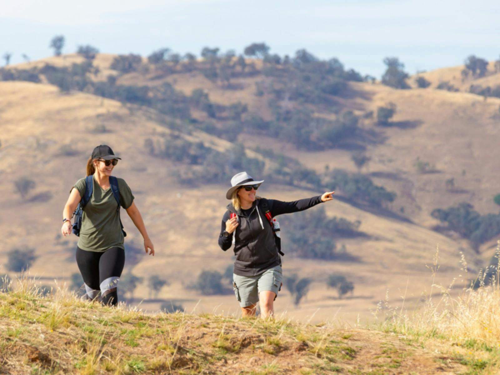 9C2473D87D80C174D1296A543078D2F8