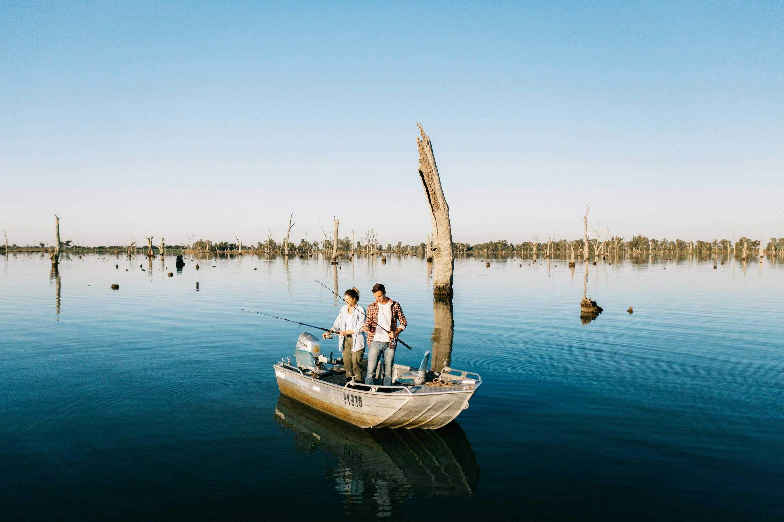 8Ad1Ccbcd20Bf71C7Cf7Cf79C559E0C7