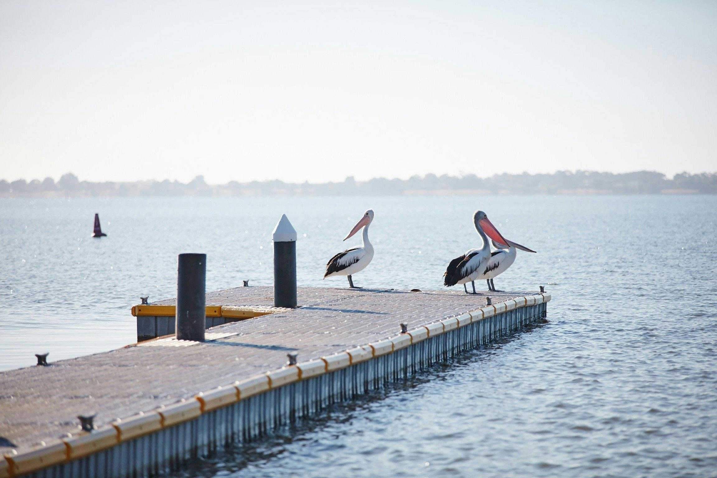 474394861B19634Cbd6B31E47F73Eafd