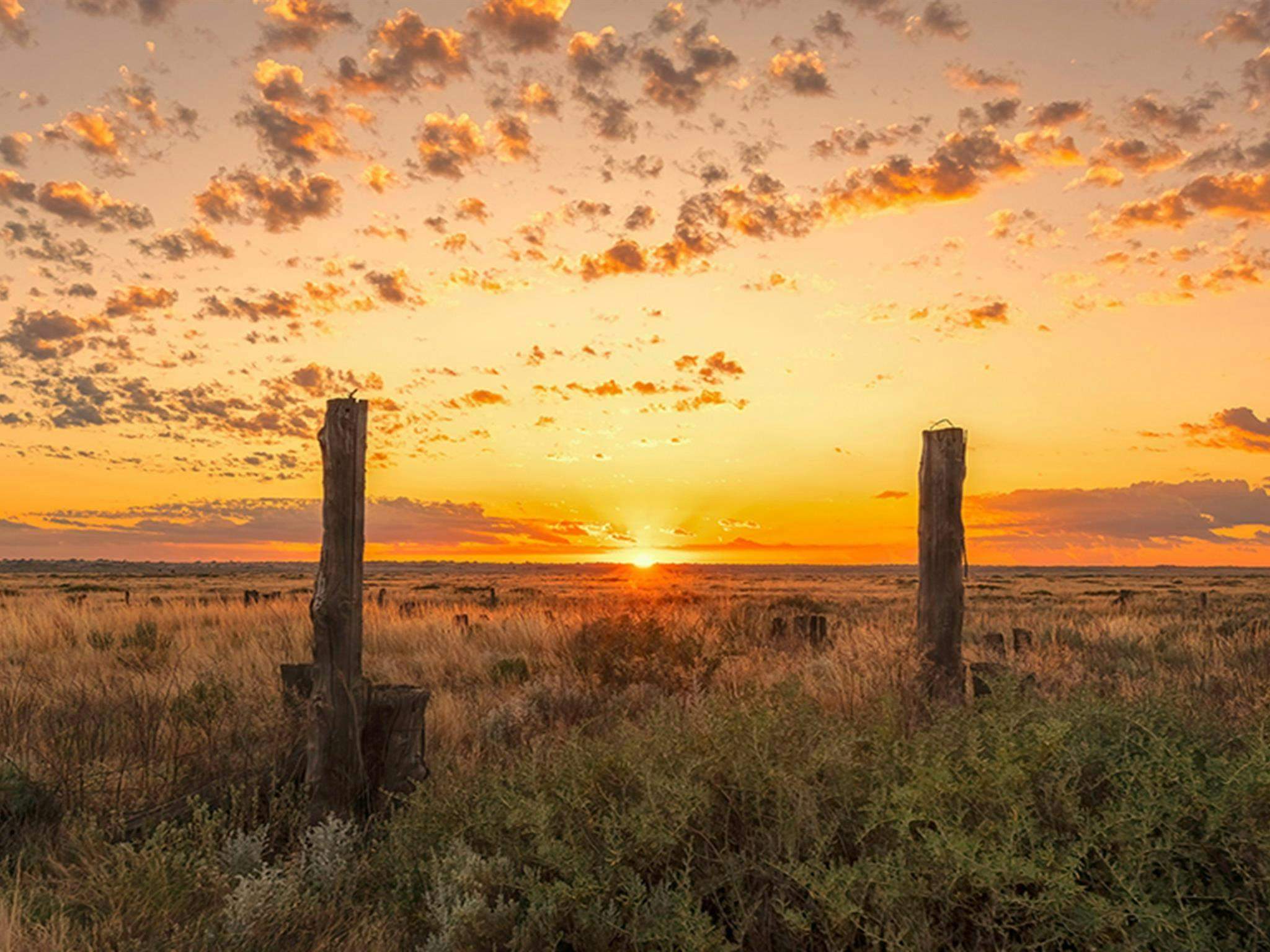 Mungo_Sunrise_Pin4Bzl