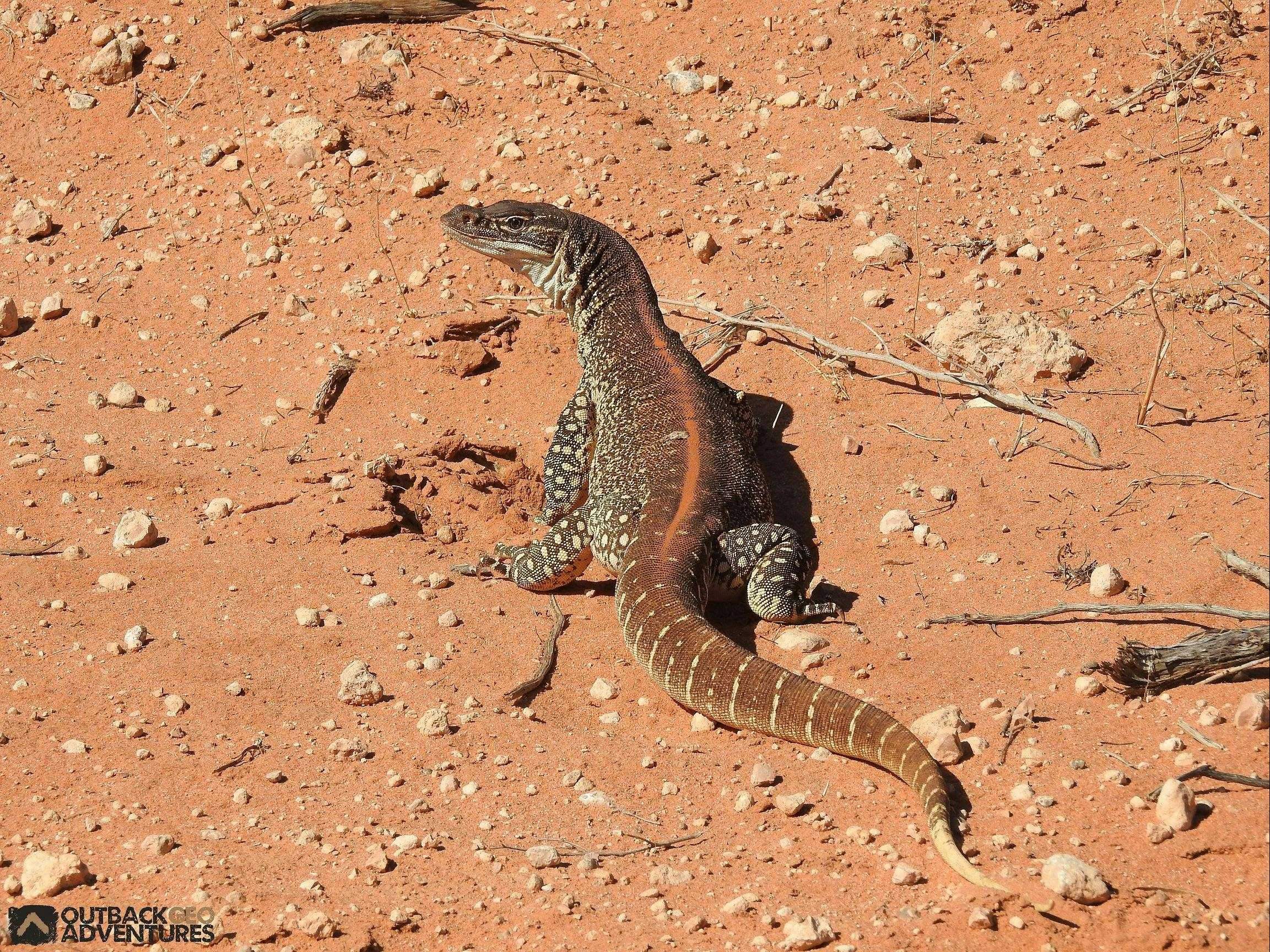 Fc354F22B405Afc60Aeede720Aff06F6