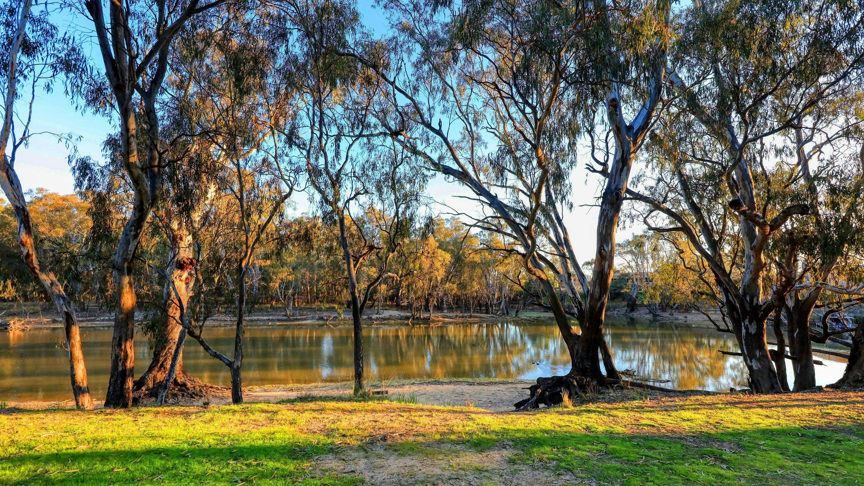 Ee92C52D50B177C7894A776572C1F62D