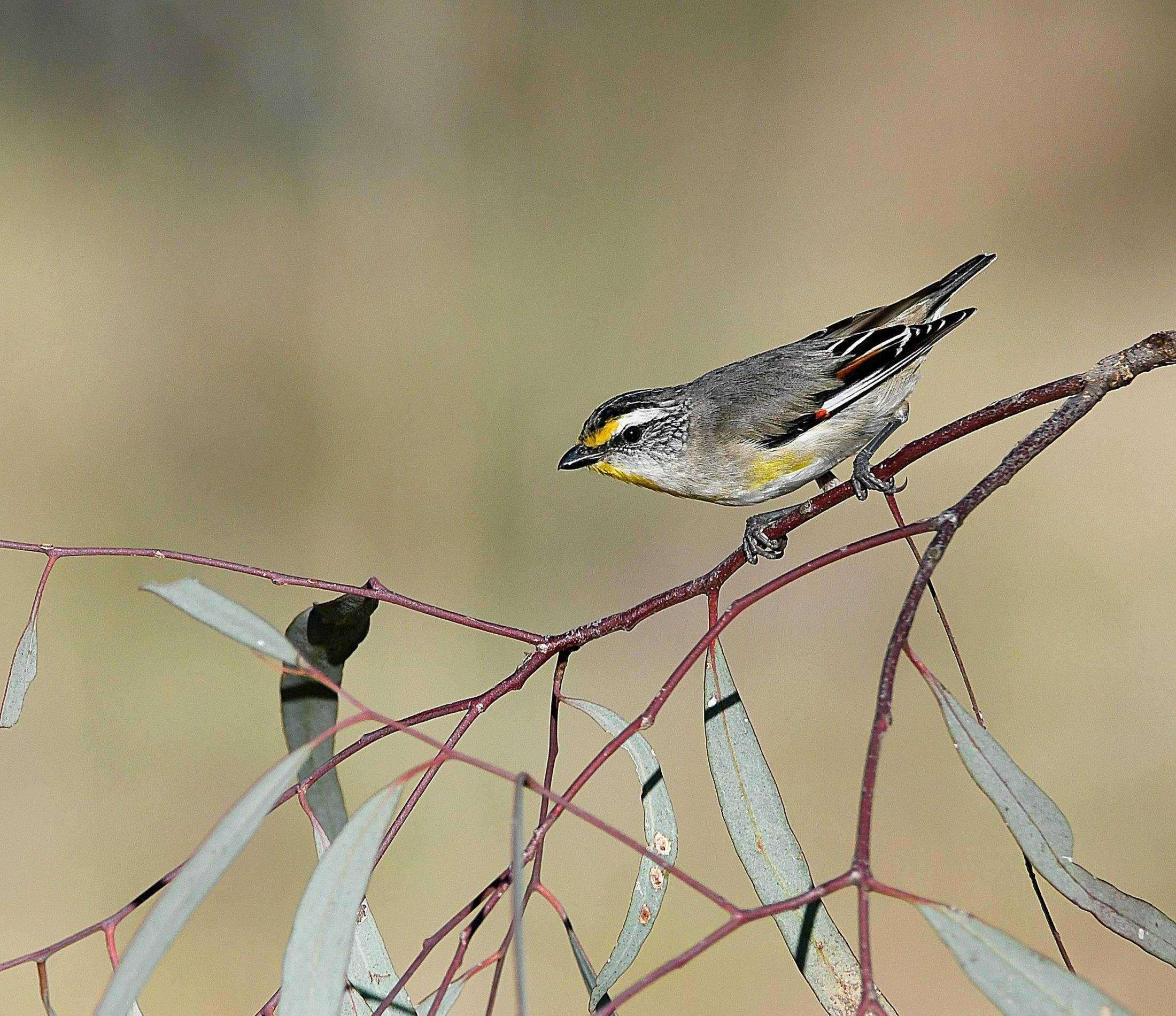 Ecca995Fefce7Dcca549F2Ed9Aeee477