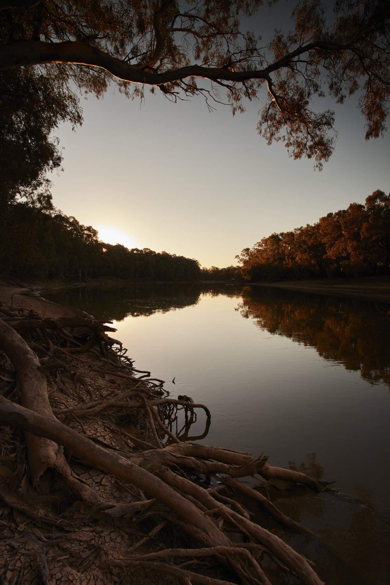 Sunset in Nyah Vinifera Park
