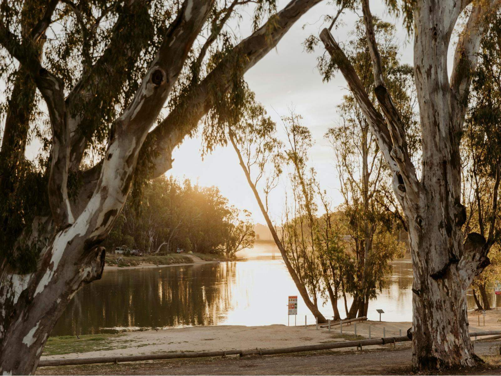 E016D5E63C3A37A847465D9D171F90E7