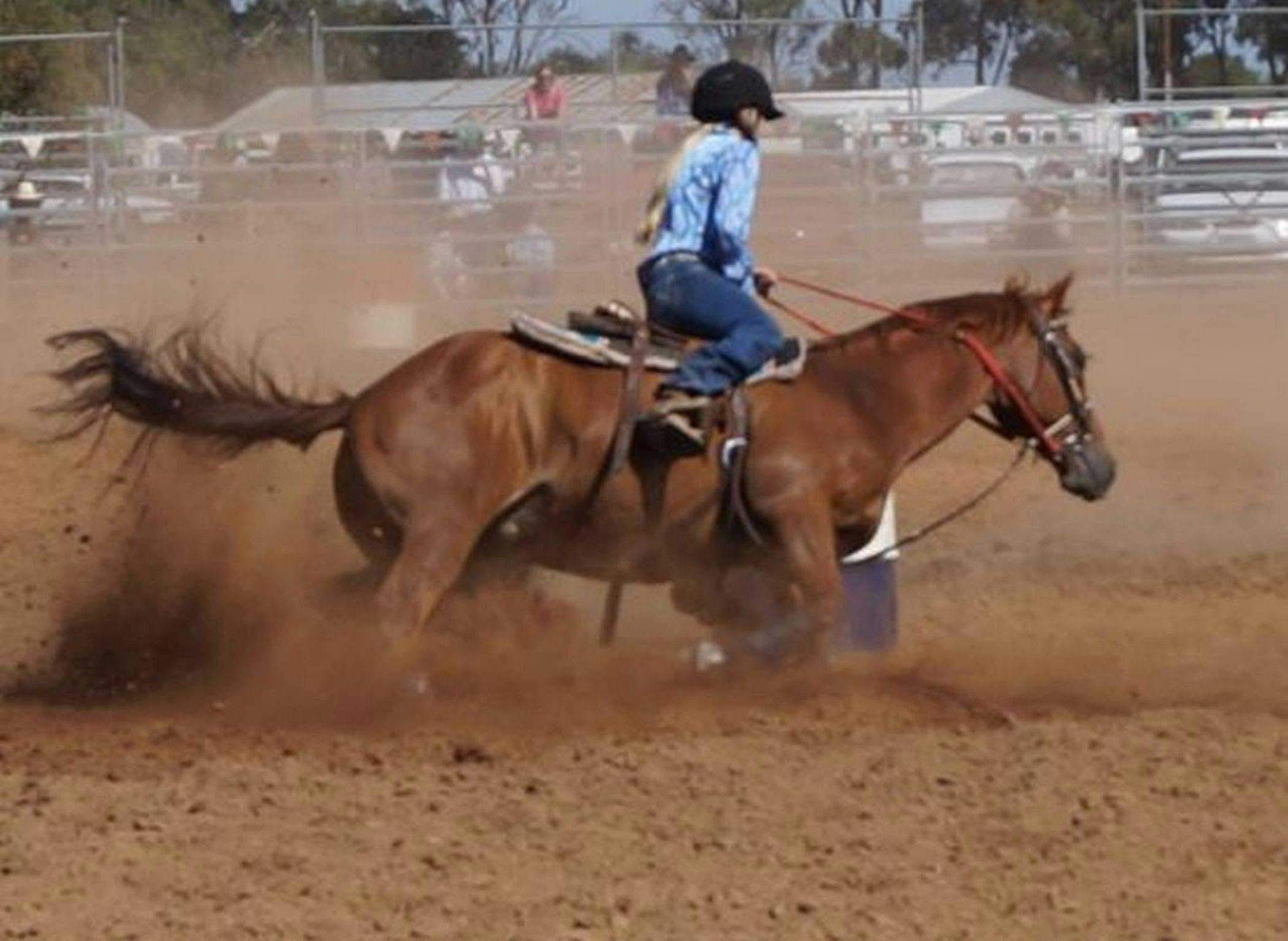 25F86B8Ef81B96544Fb65270Bcc5Be59