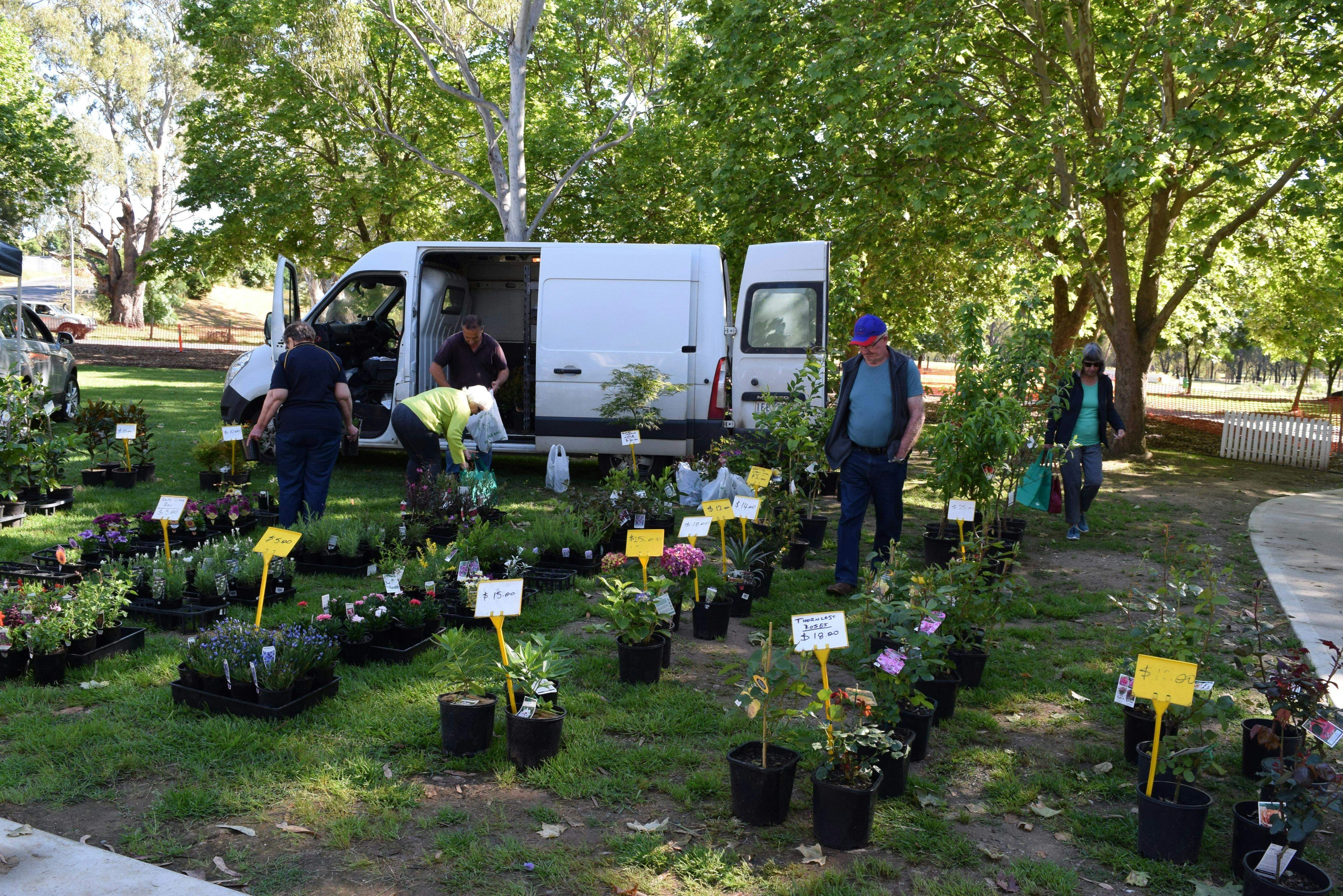 960D47D3000Ee59D032E3D9F854D3331