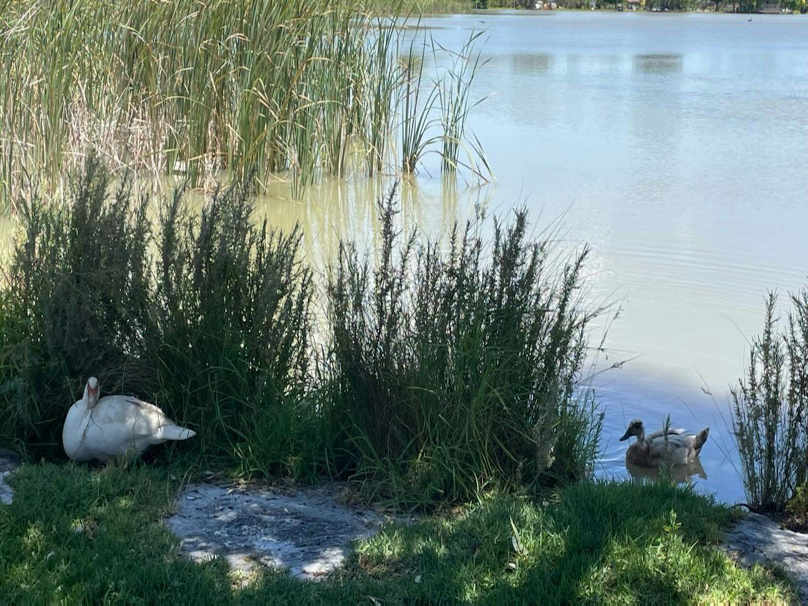 E4D730Ff20D7B20184Bddc95Bdb33E8C