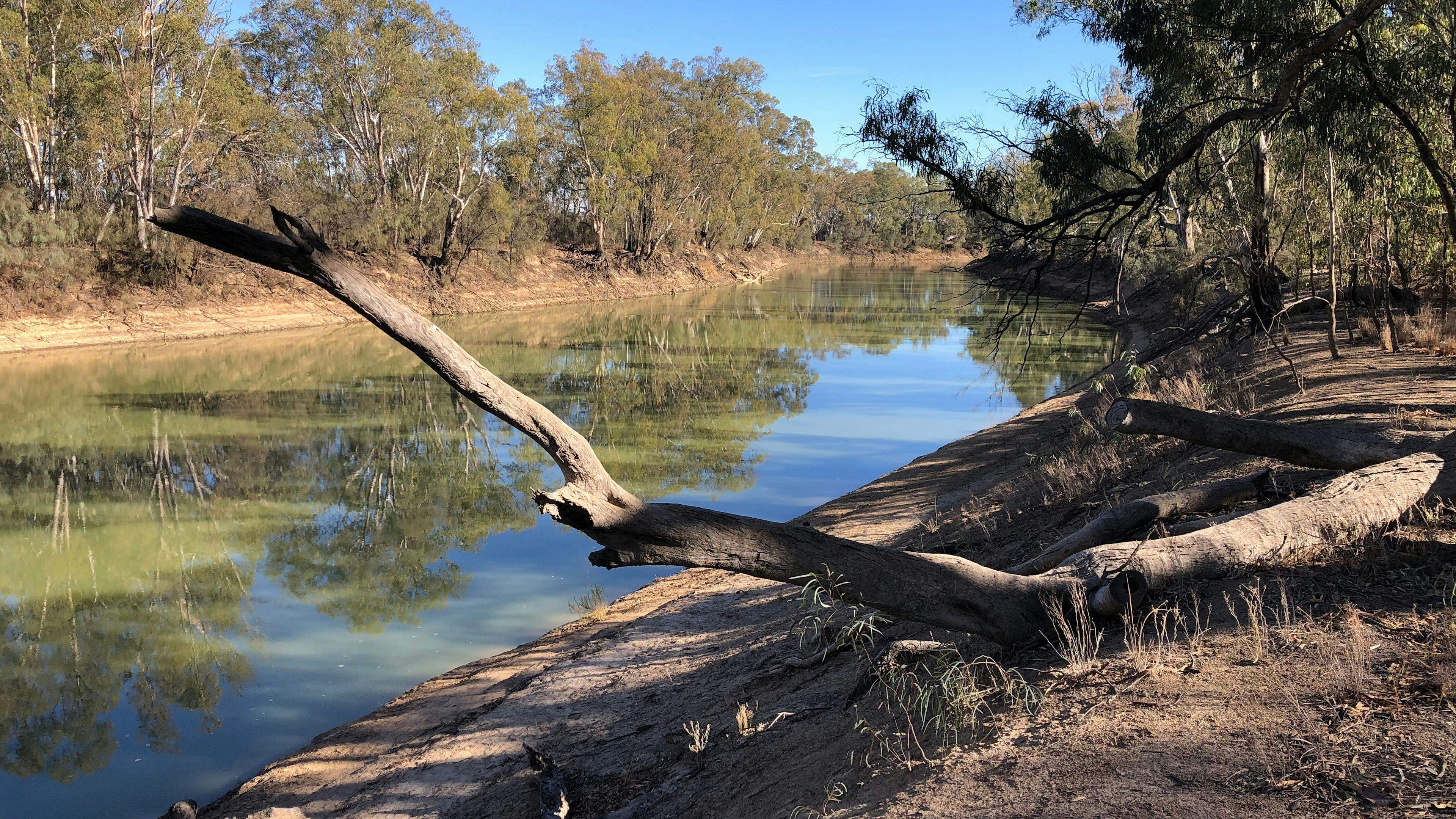 Murraywood-Murraywood-On-The-Murray-The-Mallee_Cllzbn1