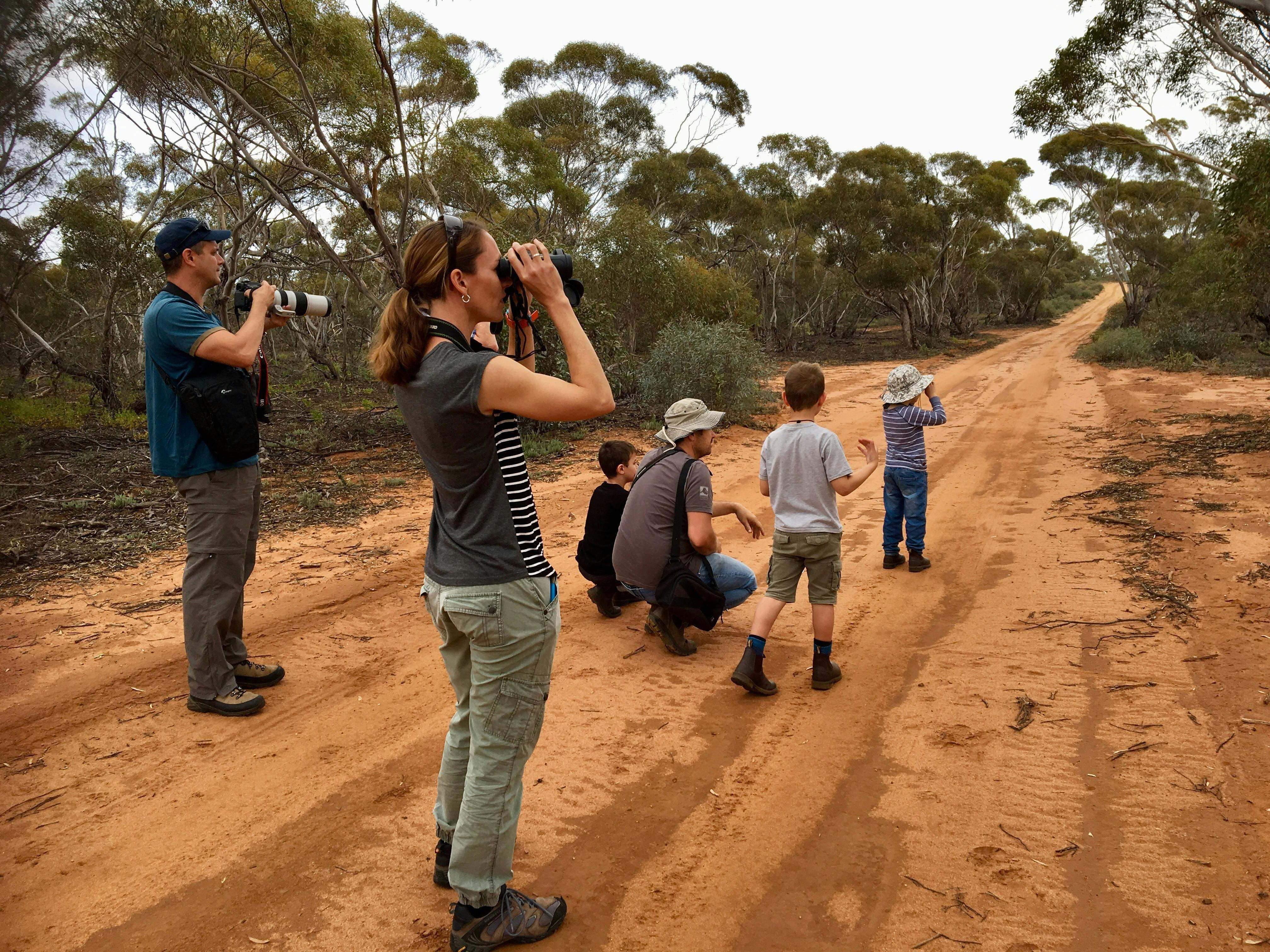 13C425B222Bb5C4Dfe2D56B4Fd55B6Fc