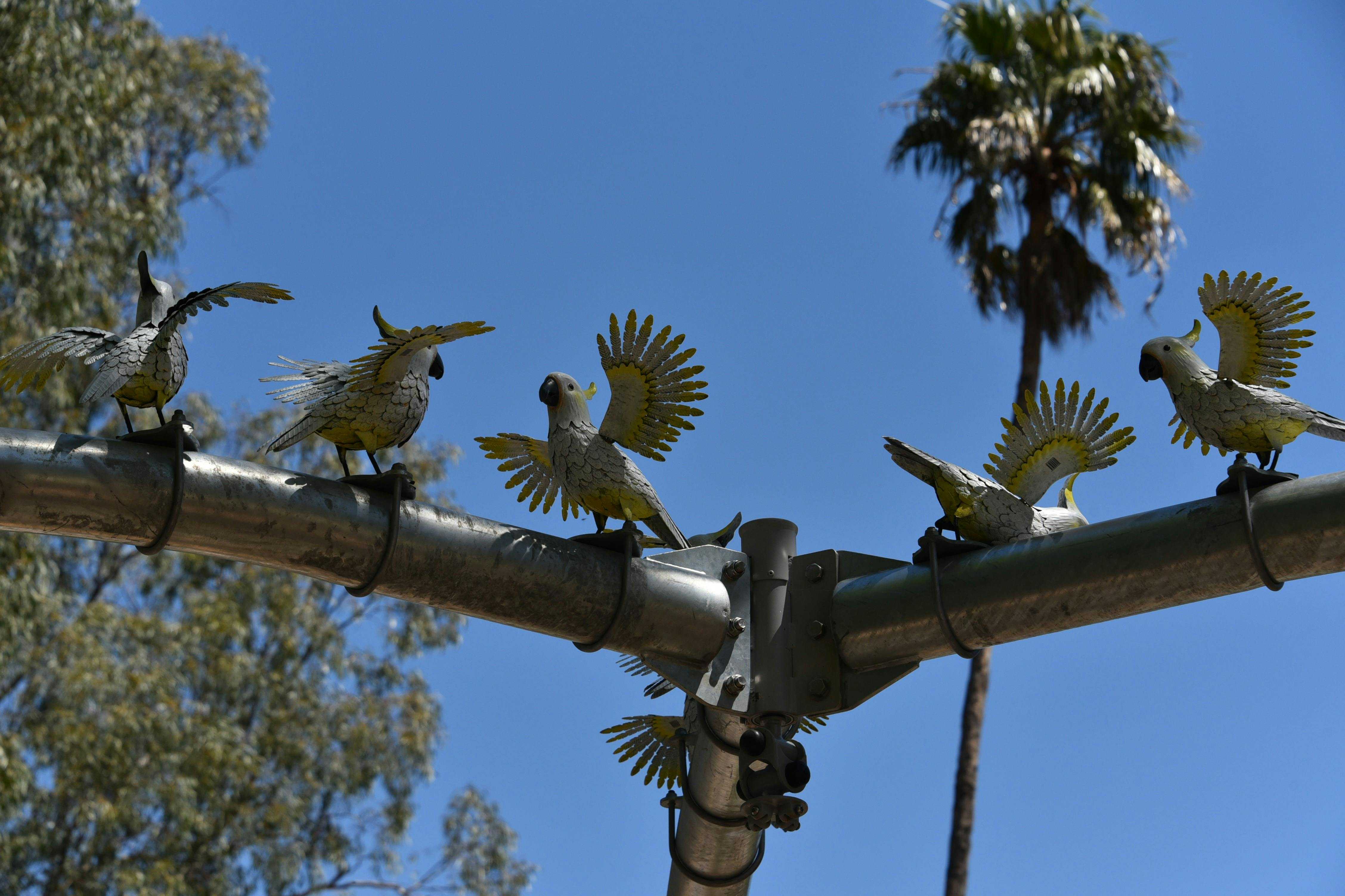 36F5Ccc77B6C89F5Ade821253C23D8Ee