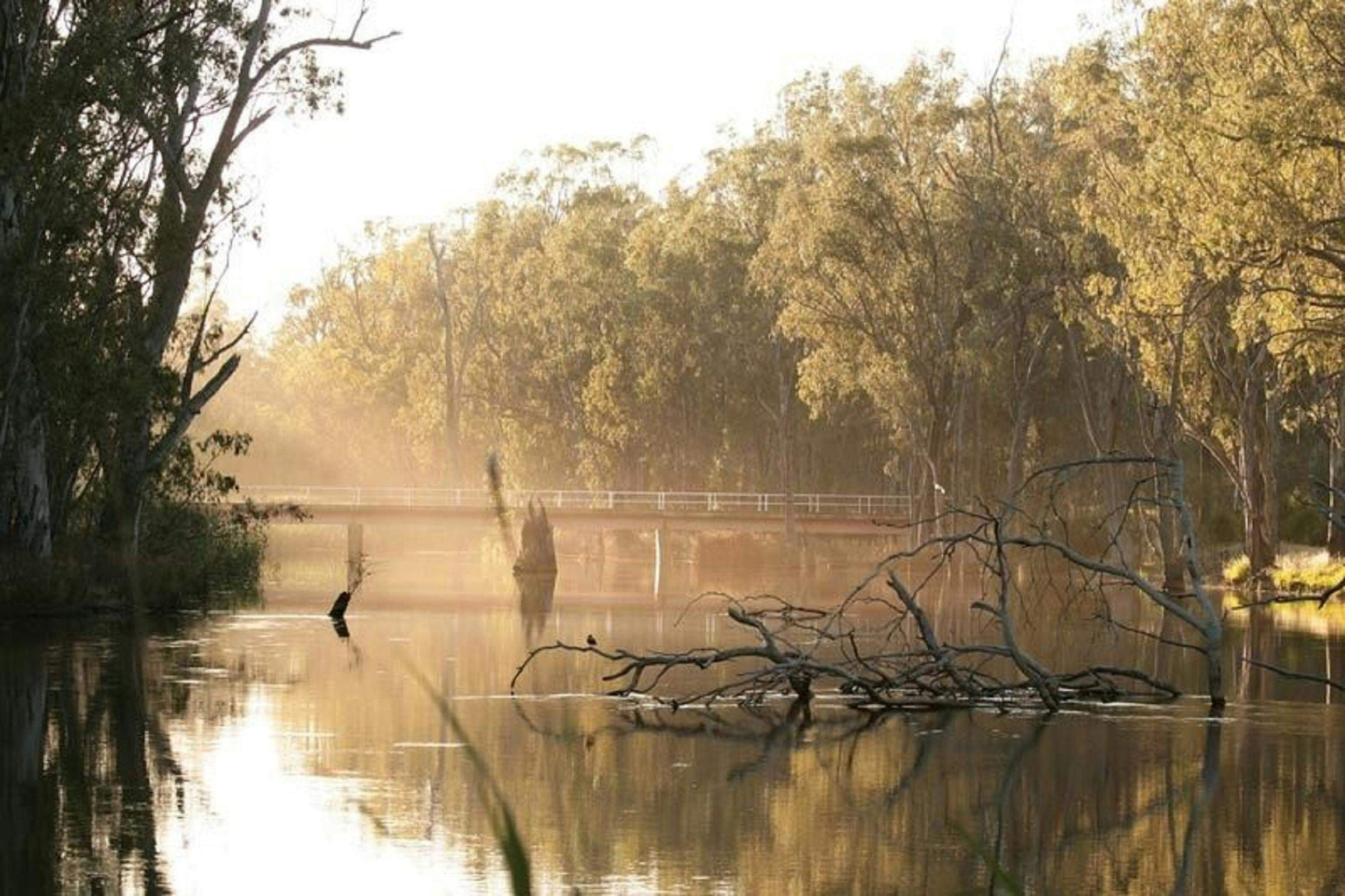 047D53C72F115Bd2Fad1269Ce253Afed