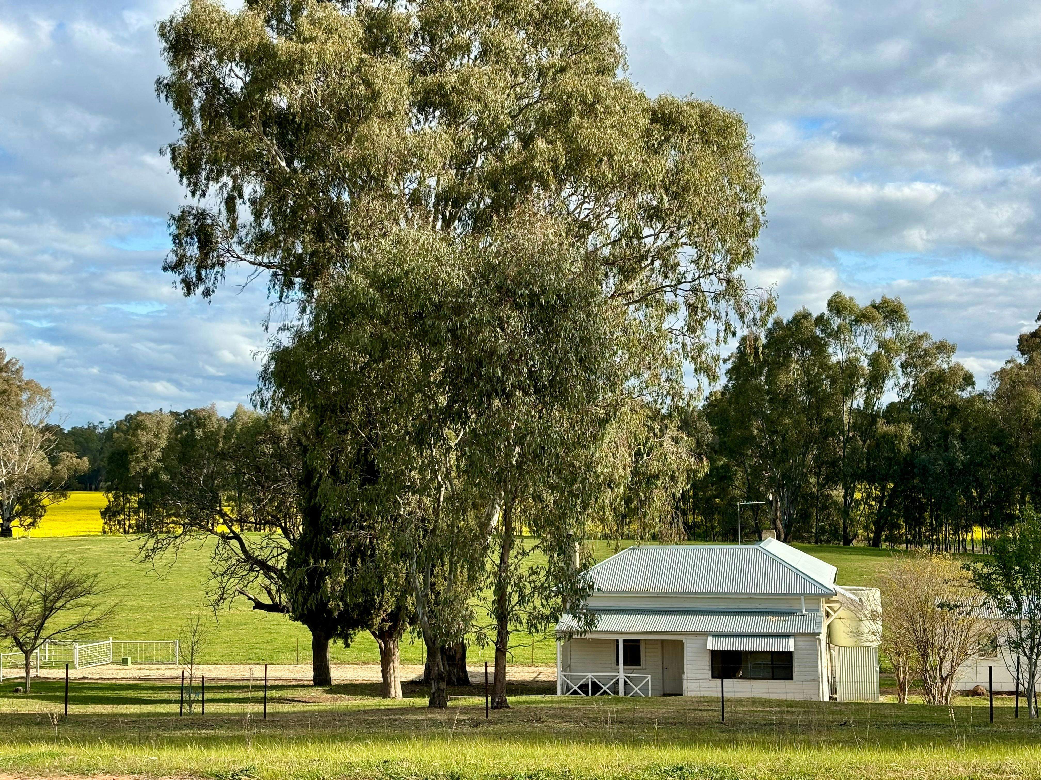 93F3Eb26757F0590882C4F2B69Ede0F0