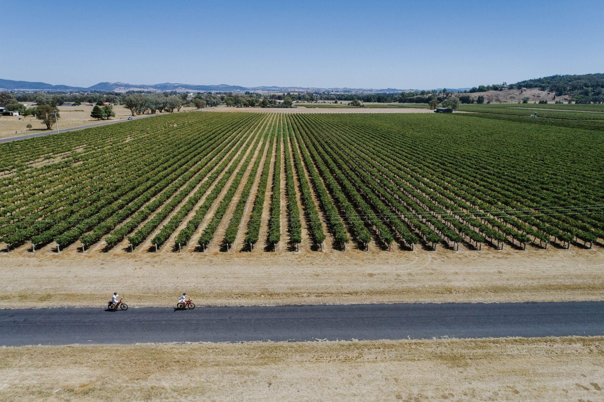 Visit Mudgee Region | Sip, Spin, Savour: a cyclist’s guide to Mudgee…